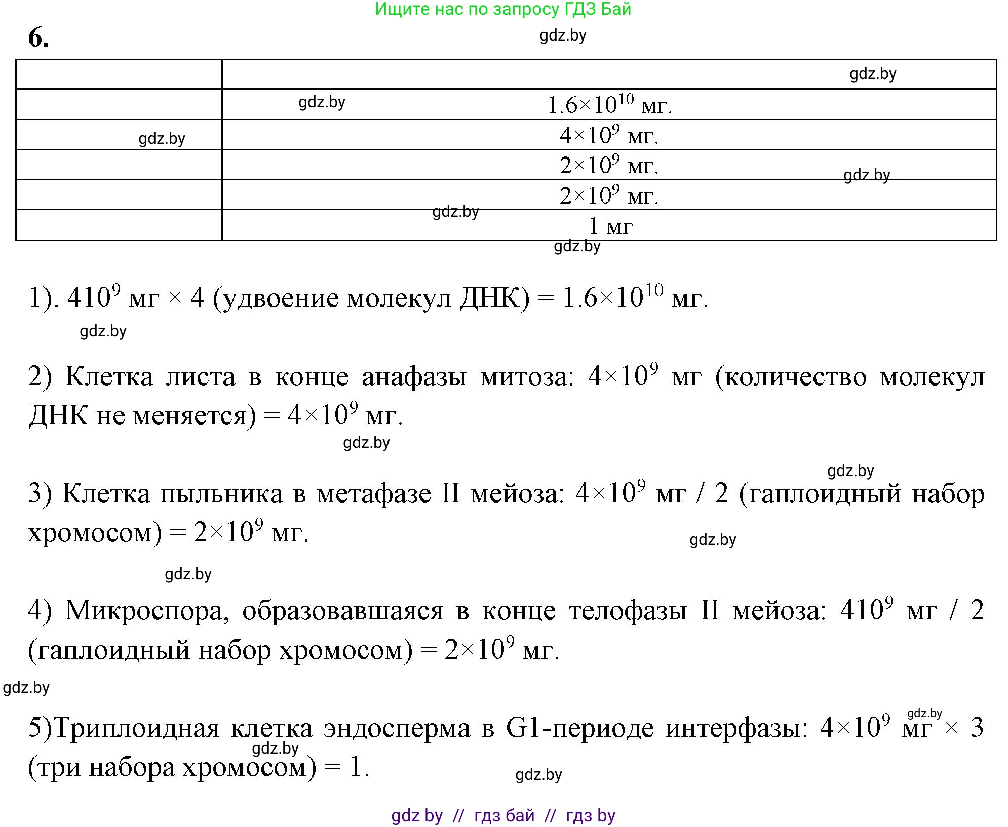 Биология, 11 класс Тетрадь для лабораторных и практических работ, авторы: Дашков Максим Леонидович, Головач Алексей Михайлович, издательство Аверсэв, Минск, 2021, оранжевого цвета, страница 19, номер 6, Решение