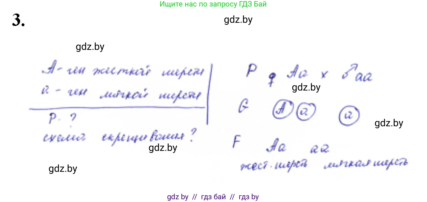 Биология, 11 класс Тетрадь для лабораторных и практических работ, авторы: Дашков Максим Леонидович, Головач Алексей Михайлович, издательство Аверсэв, Минск, 2021, оранжевого цвета, страница 22, номер 3, Решение