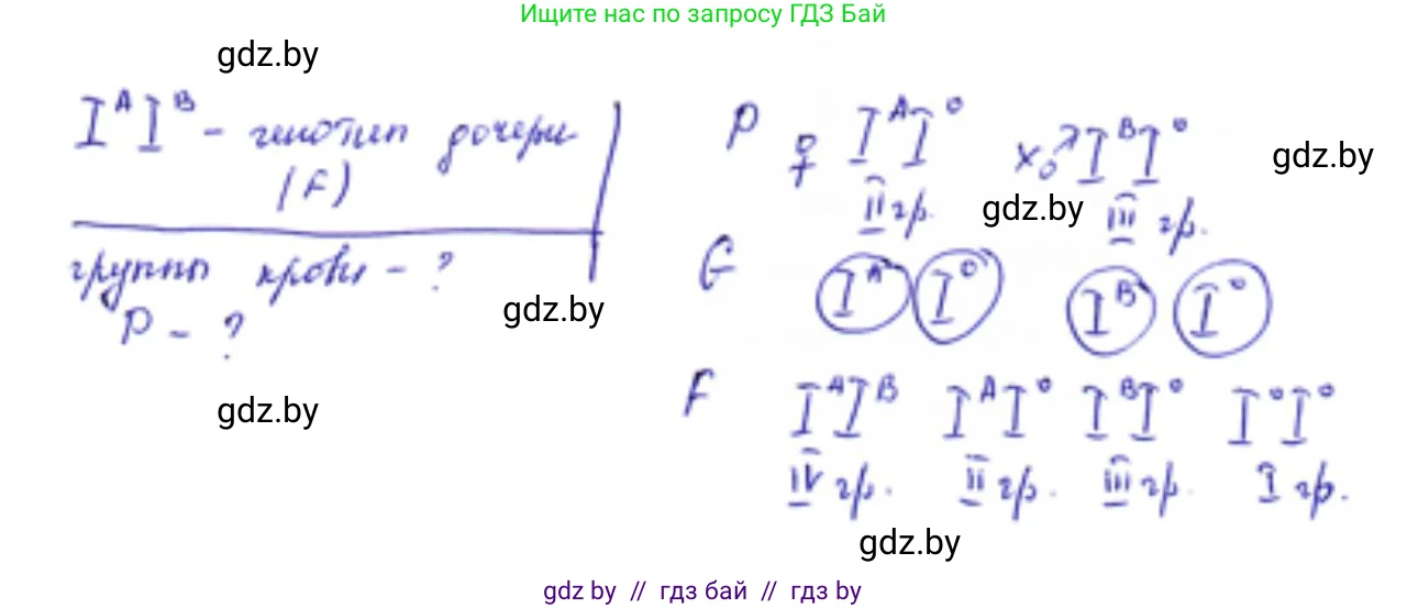 Биология, 11 класс Тетрадь для лабораторных и практических работ, авторы: Дашков Максим Леонидович, Головач Алексей Михайлович, издательство Аверсэв, Минск, 2021, оранжевого цвета, страница 23, номер 5, Решение