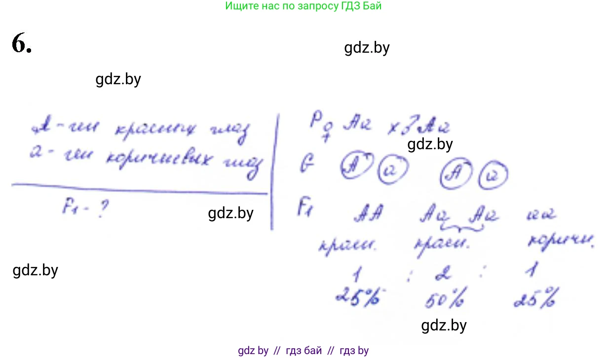 Биология, 11 класс Тетрадь для лабораторных и практических работ, авторы: Дашков Максим Леонидович, Головач Алексей Михайлович, издательство Аверсэв, Минск, 2021, оранжевого цвета, страница 24, номер 6, Решение
