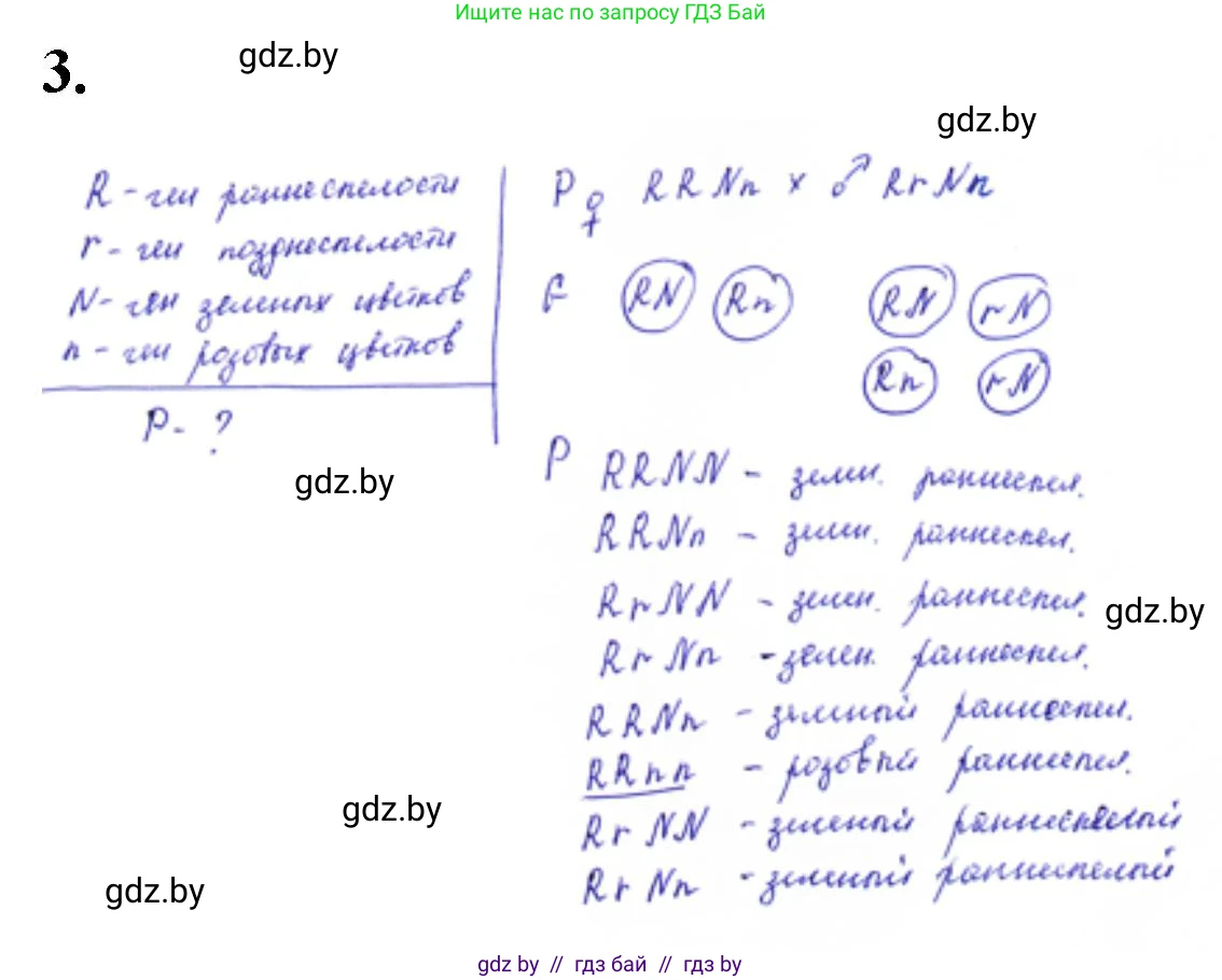 Биология, 11 класс Тетрадь для лабораторных и практических работ, авторы: Дашков Максим Леонидович, Головач Алексей Михайлович, издательство Аверсэв, Минск, 2021, оранжевого цвета, страница 25, номер 3, Решение