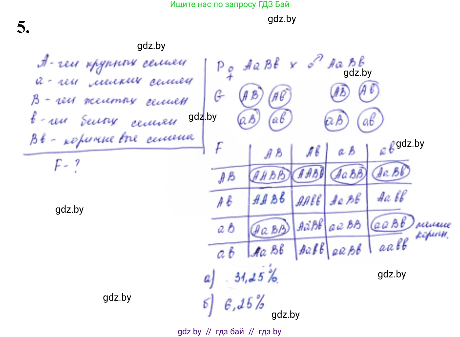 Биология, 11 класс Тетрадь для лабораторных и практических работ, авторы: Дашков Максим Леонидович, Головач Алексей Михайлович, издательство Аверсэв, Минск, 2021, оранжевого цвета, страница 26, номер 5, Решение
