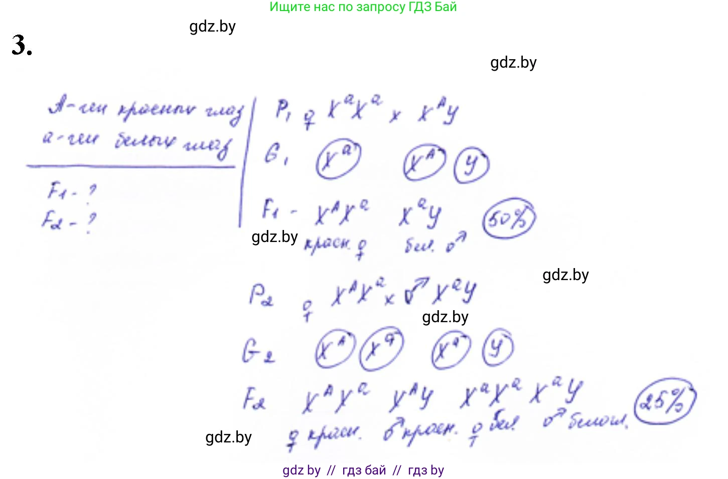 Биология, 11 класс Тетрадь для лабораторных и практических работ, авторы: Дашков Максим Леонидович, Головач Алексей Михайлович, издательство Аверсэв, Минск, 2021, оранжевого цвета, страница 28, номер 3, Решение