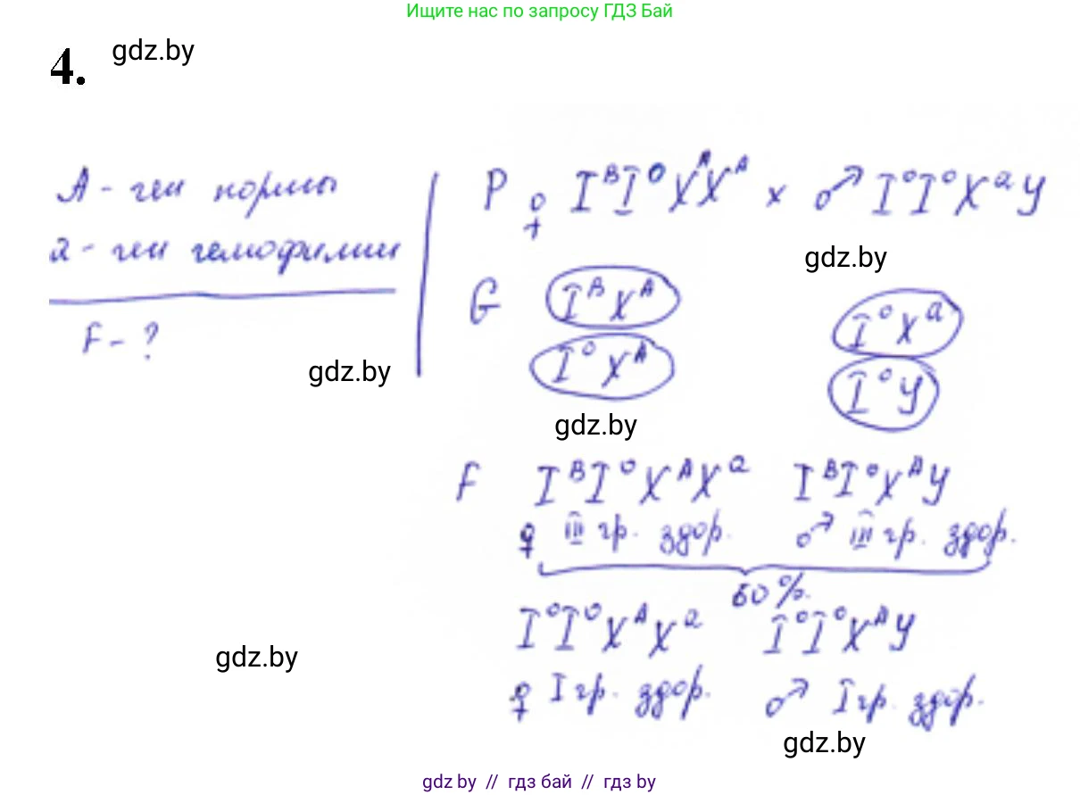 Биология, 11 класс Тетрадь для лабораторных и практических работ, авторы: Дашков Максим Леонидович, Головач Алексей Михайлович, издательство Аверсэв, Минск, 2021, оранжевого цвета, страница 28, номер 4, Решение