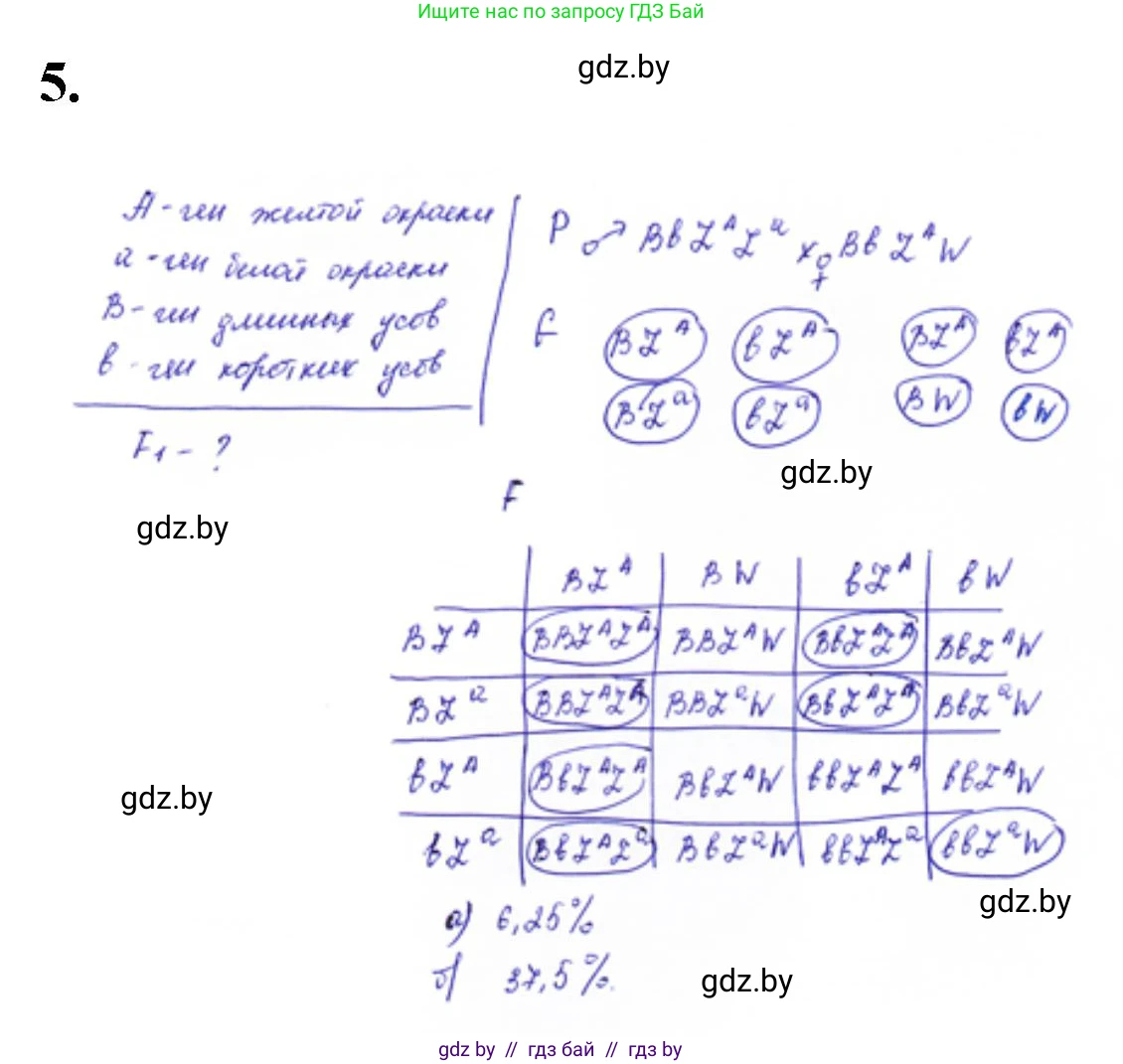 Биология, 11 класс Тетрадь для лабораторных и практических работ, авторы: Дашков Максим Леонидович, Головач Алексей Михайлович, издательство Аверсэв, Минск, 2021, оранжевого цвета, страница 29, номер 5, Решение