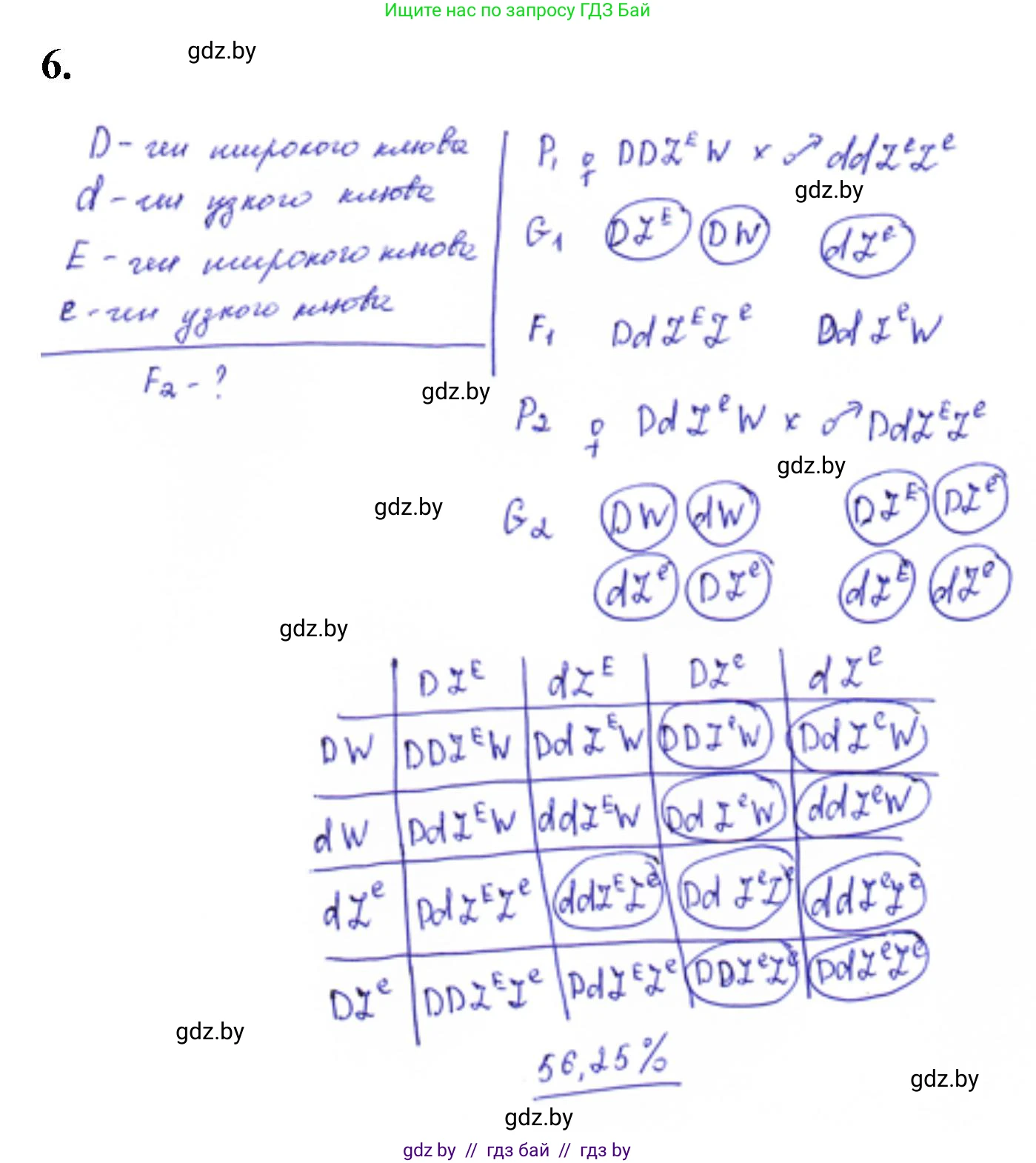 Биология, 11 класс Тетрадь для лабораторных и практических работ, авторы: Дашков Максим Леонидович, Головач Алексей Михайлович, издательство Аверсэв, Минск, 2021, оранжевого цвета, страница 30, номер 6, Решение