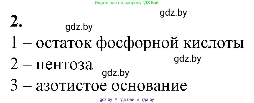 Биология, 11 класс рабочая тетрадь, авторы: Дашков Максим Леонидович, Головач Алексей Михайлович, издательство Аверсэв, Минск, 2021, жёлтого цвета, страница 16, номер 2, Решение