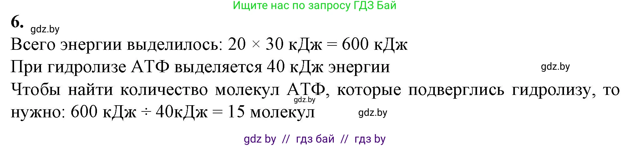 Биология, 11 класс рабочая тетрадь, авторы: Дашков Максим Леонидович, Головач Алексей Михайлович, издательство Аверсэв, Минск, 2021, жёлтого цвета, страница 20, номер 6, Решение
