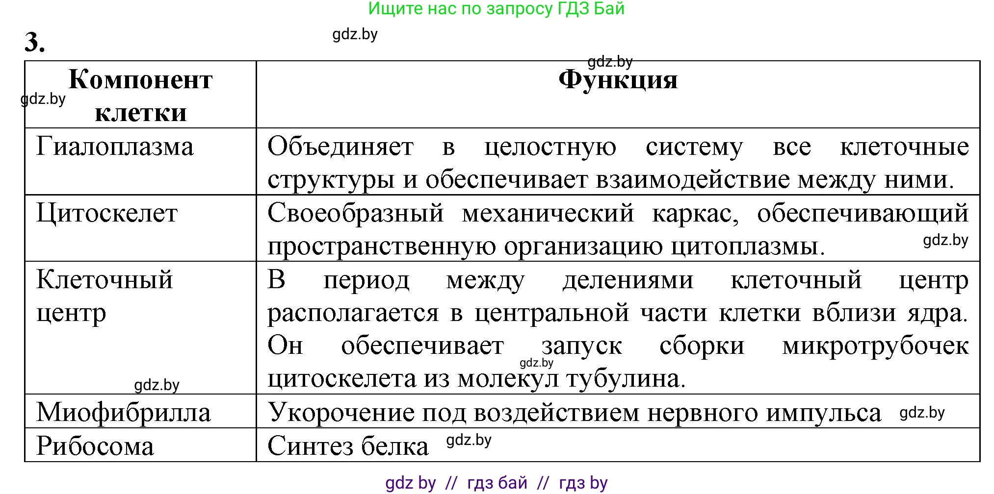 Биология, 11 класс рабочая тетрадь, авторы: Дашков Максим Леонидович, Головач Алексей Михайлович, издательство Аверсэв, Минск, 2021, жёлтого цвета, страница 28, номер 3, Решение