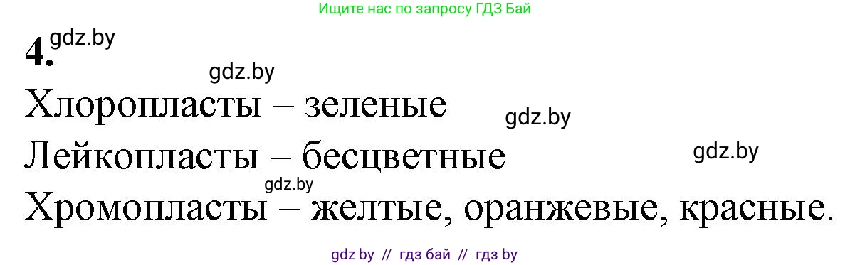 Биология, 11 класс рабочая тетрадь, авторы: Дашков Максим Леонидович, Головач Алексей Михайлович, издательство Аверсэв, Минск, 2021, жёлтого цвета, страница 31, номер 4, Решение
