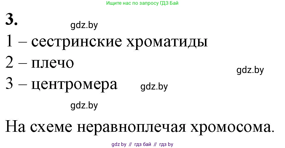 Биология, 11 класс рабочая тетрадь, авторы: Дашков Максим Леонидович, Головач Алексей Михайлович, издательство Аверсэв, Минск, 2021, жёлтого цвета, страница 33, номер 3, Решение