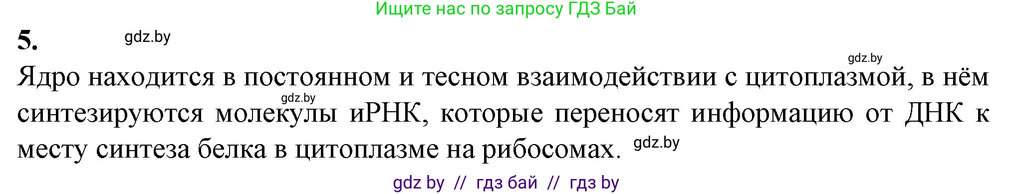 Биология, 11 класс рабочая тетрадь, авторы: Дашков Максим Леонидович, Головач Алексей Михайлович, издательство Аверсэв, Минск, 2021, жёлтого цвета, страница 33, номер 5, Решение