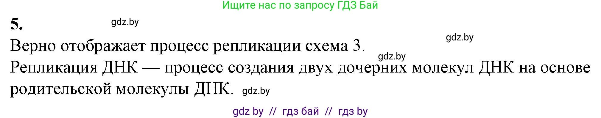 Биология, 11 класс рабочая тетрадь, авторы: Дашков Максим Леонидович, Головач Алексей Михайлович, издательство Аверсэв, Минск, 2021, жёлтого цвета, страница 38, номер 5, Решение