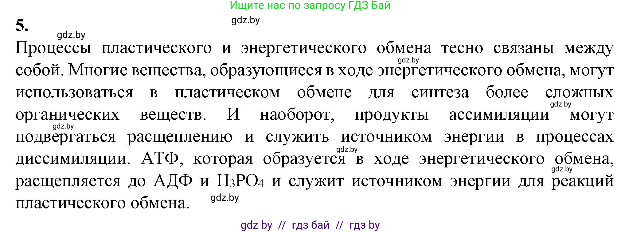Биология, 11 класс рабочая тетрадь, авторы: Дашков Максим Леонидович, Головач Алексей Михайлович, издательство Аверсэв, Минск, 2021, жёлтого цвета, страница 48, номер 5, Решение