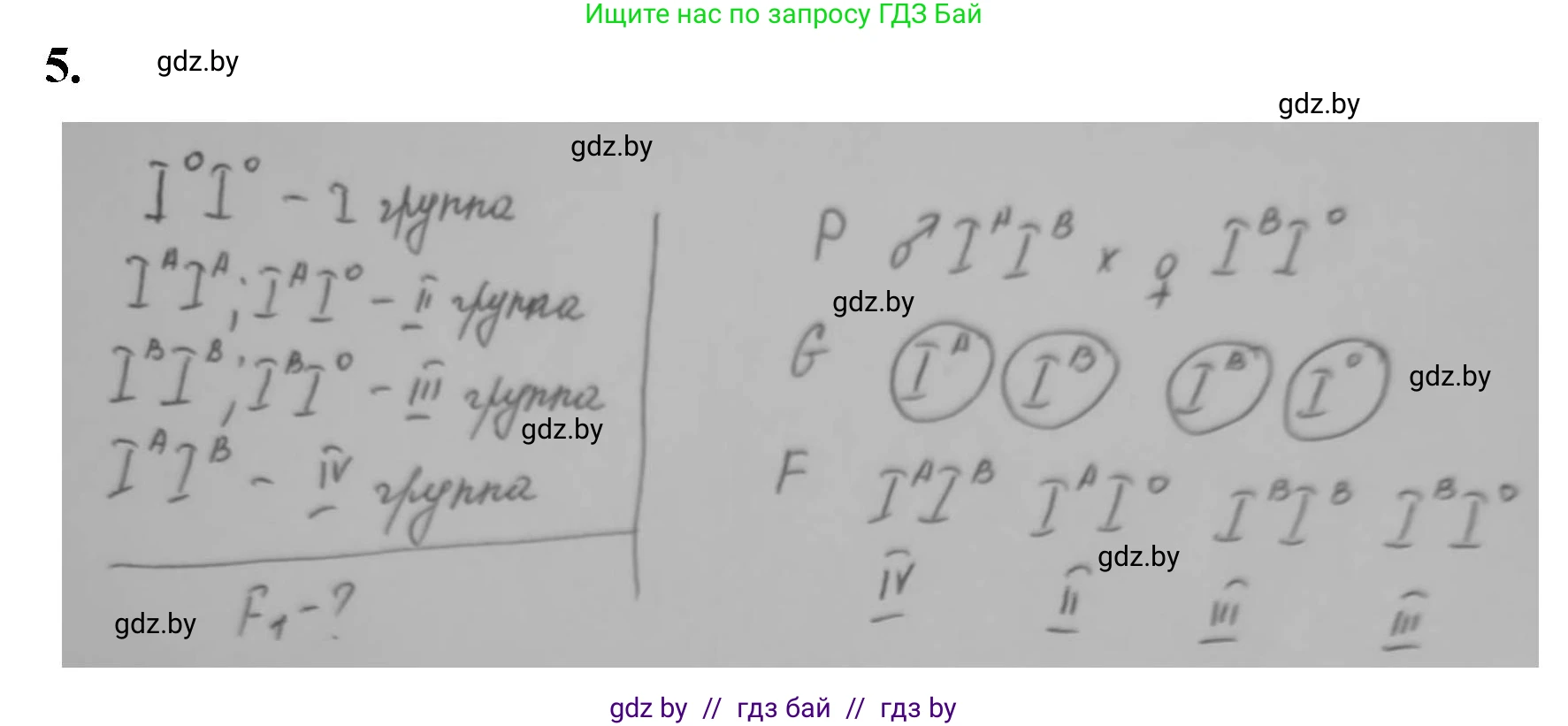 Биология, 11 класс рабочая тетрадь, авторы: Дашков Максим Леонидович, Головач Алексей Михайлович, издательство Аверсэв, Минск, 2021, жёлтого цвета, страница 77, номер 5, Решение