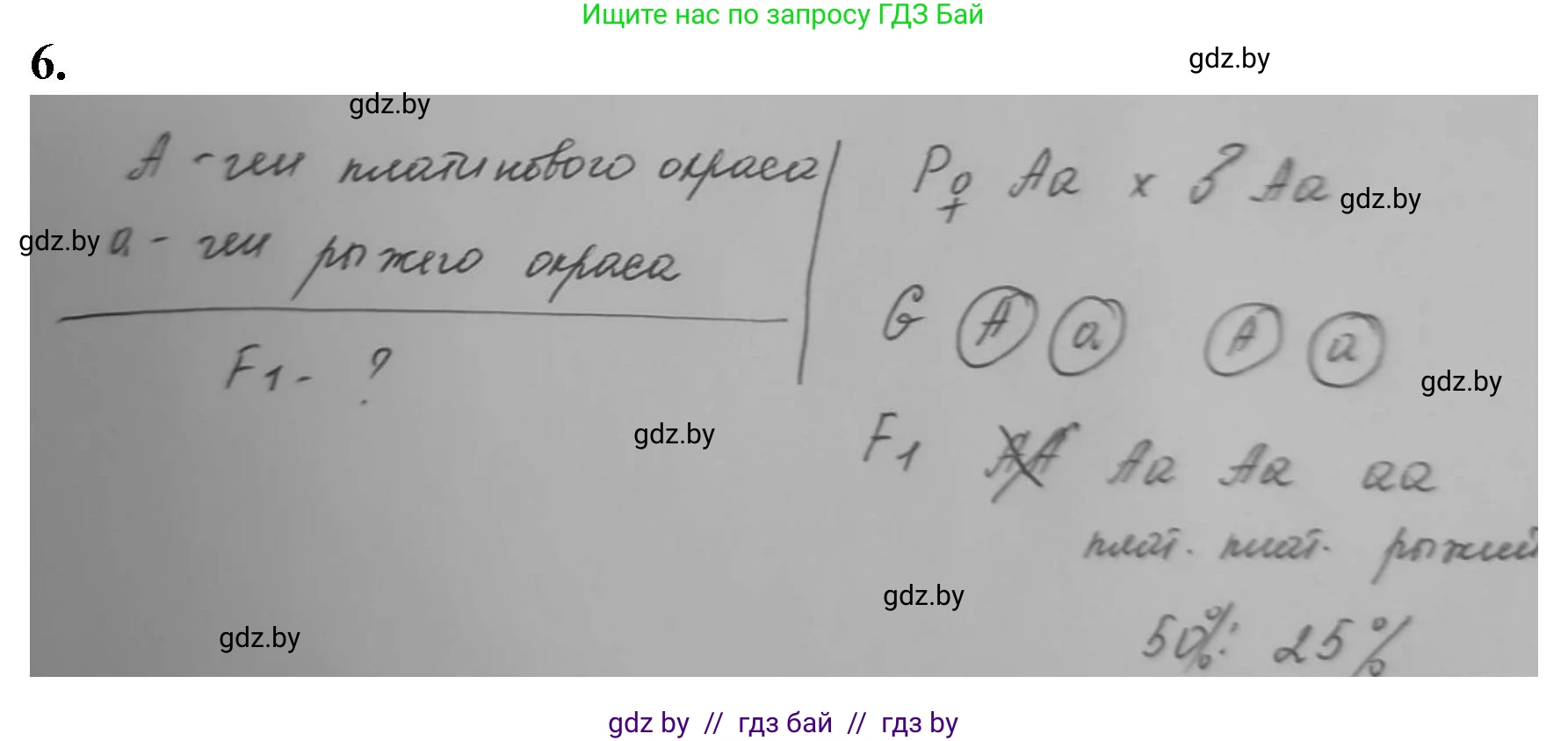 Биология, 11 класс рабочая тетрадь, авторы: Дашков Максим Леонидович, Головач Алексей Михайлович, издательство Аверсэв, Минск, 2021, жёлтого цвета, страница 77, номер 6, Решение