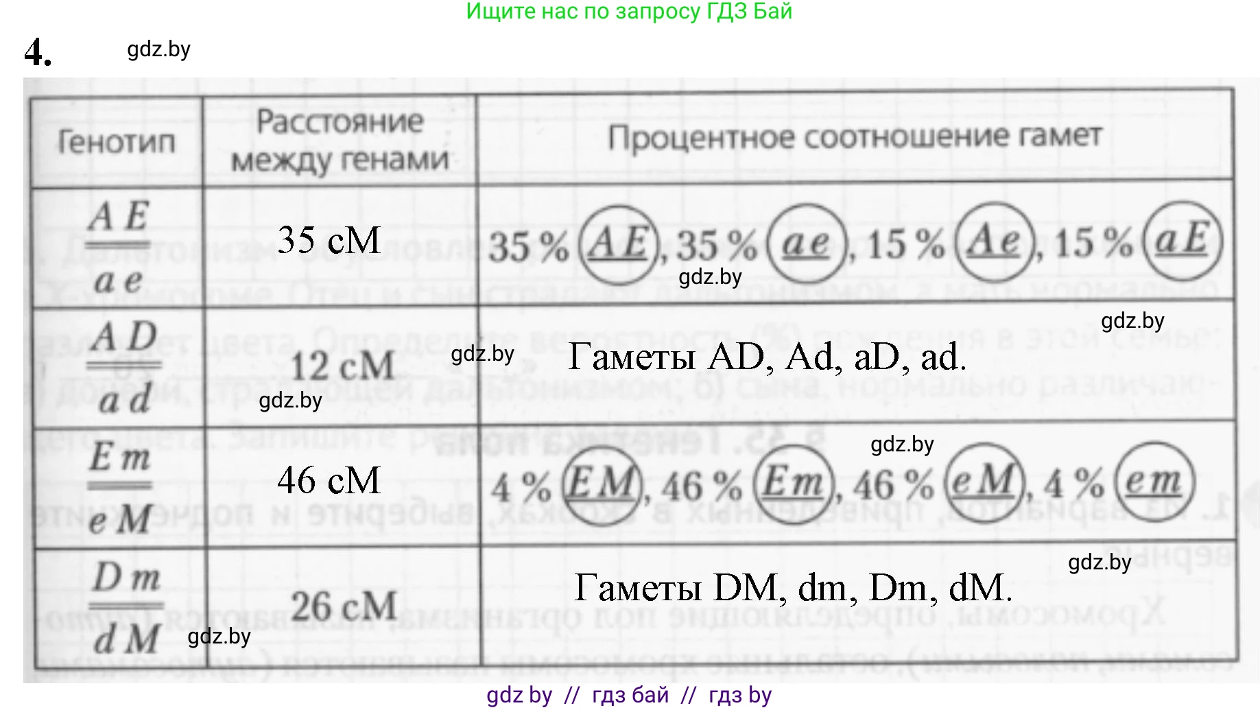 Биология, 11 класс рабочая тетрадь, авторы: Дашков Максим Леонидович, Головач Алексей Михайлович, издательство Аверсэв, Минск, 2021, жёлтого цвета, страница 81, номер 4, Решение