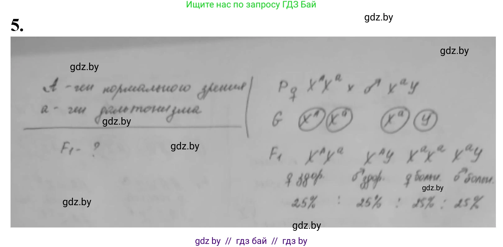 Биология, 11 класс рабочая тетрадь, авторы: Дашков Максим Леонидович, Головач Алексей Михайлович, издательство Аверсэв, Минск, 2021, жёлтого цвета, страница 83, номер 5, Решение