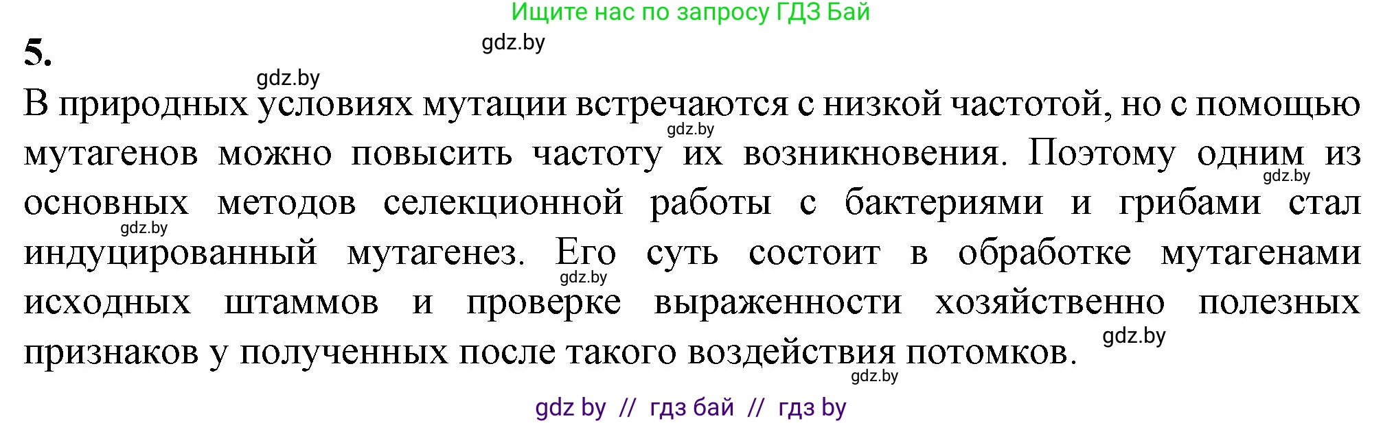 Биология, 11 класс рабочая тетрадь, авторы: Дашков Максим Леонидович, Головач Алексей Михайлович, издательство Аверсэв, Минск, 2021, жёлтого цвета, страница 97, номер 5, Решение