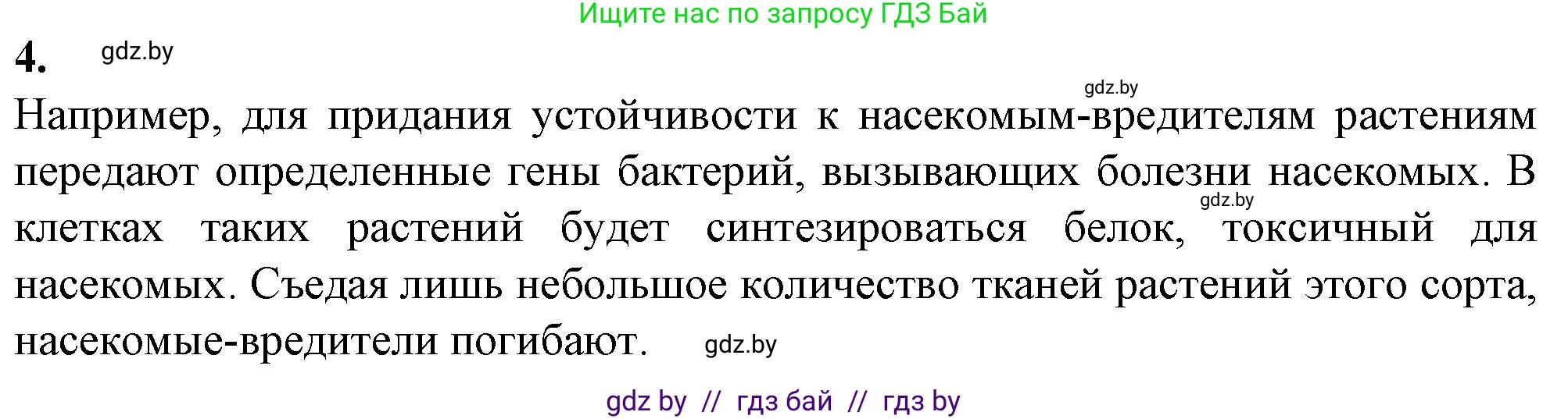Биология, 11 класс рабочая тетрадь, авторы: Дашков Максим Леонидович, Головач Алексей Михайлович, издательство Аверсэв, Минск, 2021, жёлтого цвета, страница 99, номер 4, Решение