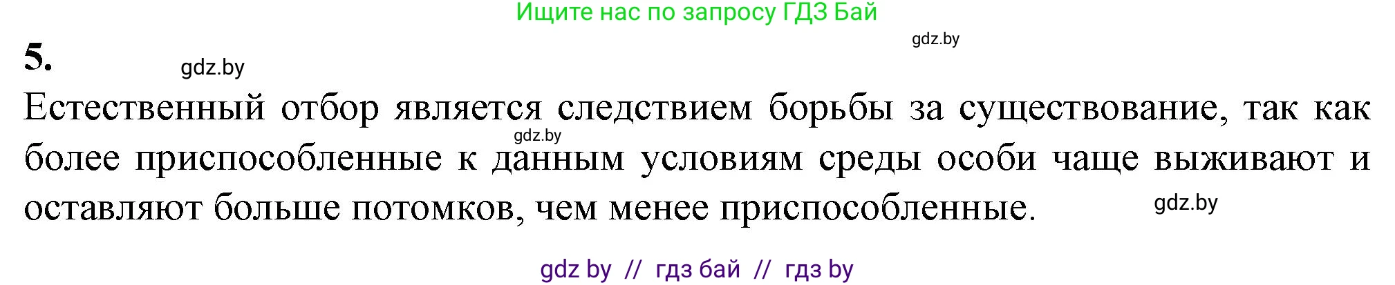 Биология, 11 класс рабочая тетрадь, авторы: Дашков Максим Леонидович, Головач Алексей Михайлович, издательство Аверсэв, Минск, 2021, жёлтого цвета, страница 104, номер 5, Решение