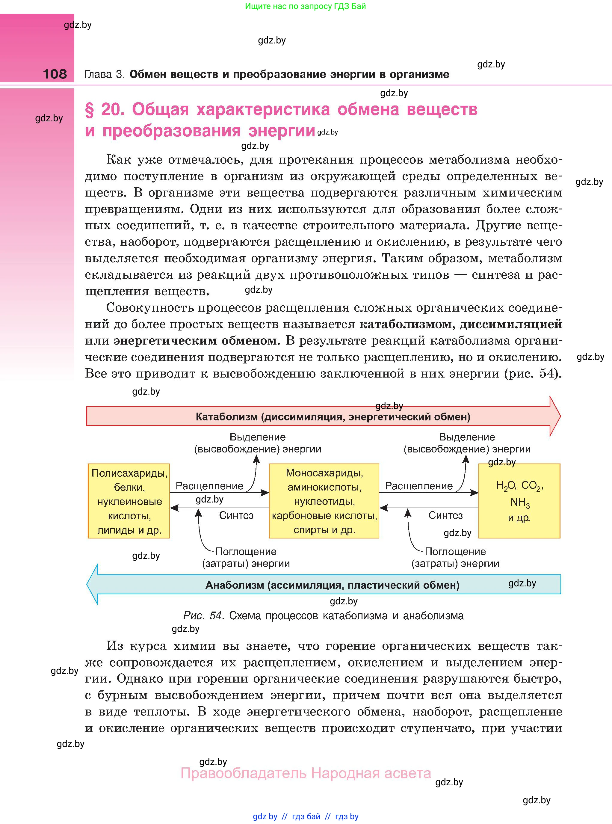 Биология, 11 класс Учебник, авторы: Дашков Максим Леонидович, Песнякевич Александр Георгиевич, Головач Алексей Михайлович, издательство Народная асвета, Минск, 2021, голубого цвета, страница 108