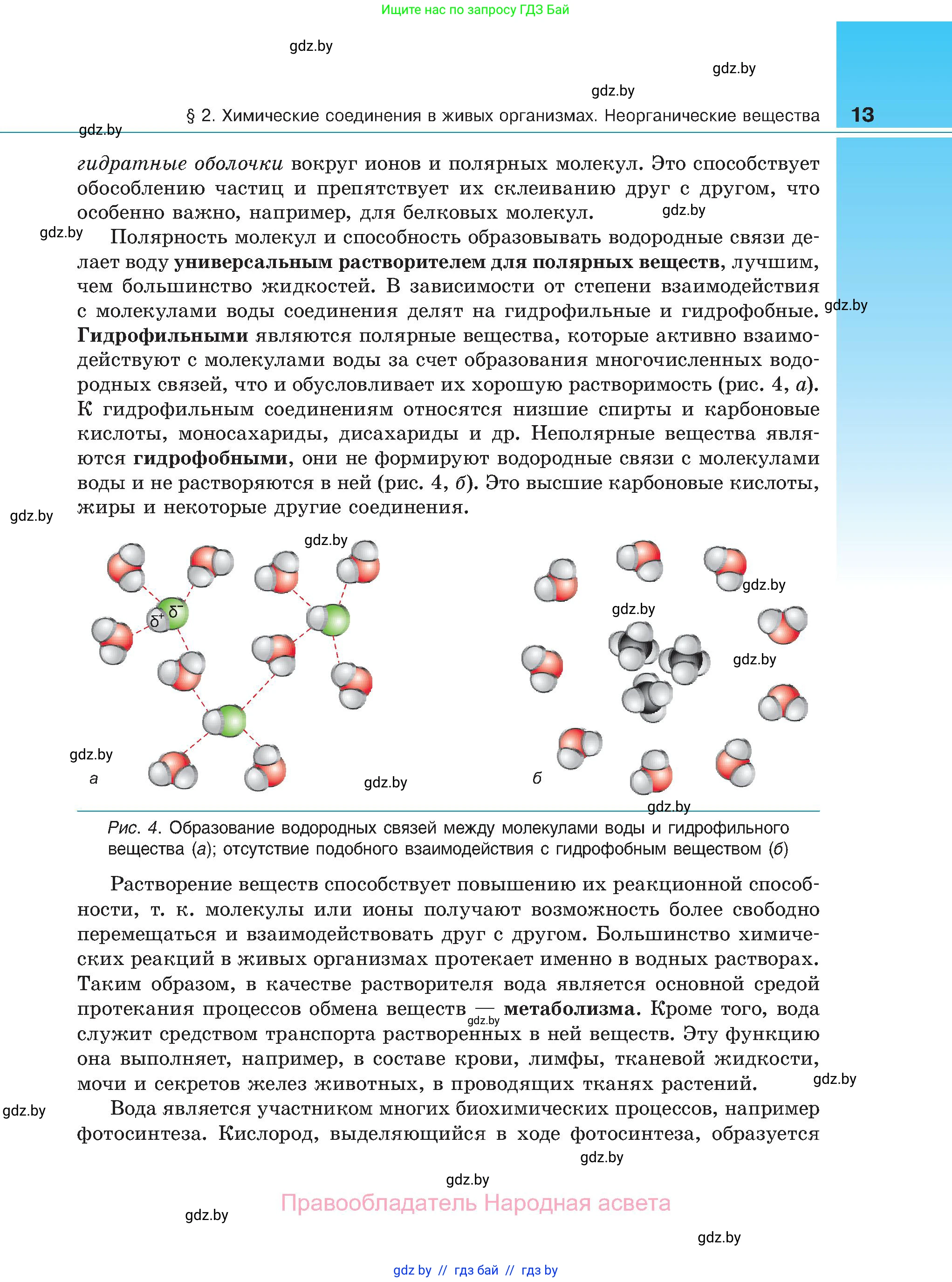 Биология, 11 класс Учебник, авторы: Дашков Максим Леонидович, Песнякевич Александр Георгиевич, Головач Алексей Михайлович, издательство Народная асвета, Минск, 2021, голубого цвета, страница 13