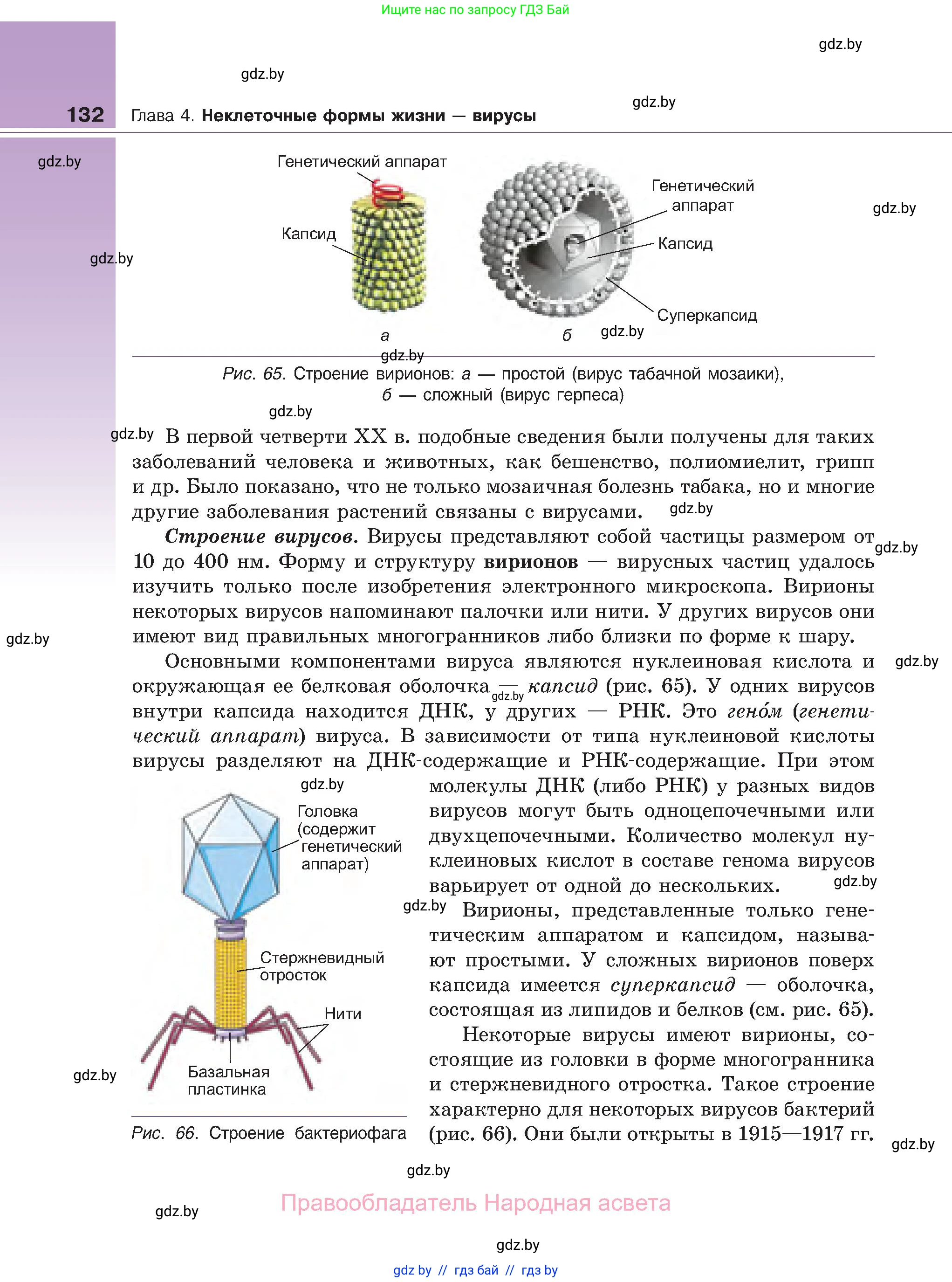 Биология, 11 класс Учебник, авторы: Дашков Максим Леонидович, Песнякевич Александр Георгиевич, Головач Алексей Михайлович, издательство Народная асвета, Минск, 2021, голубого цвета, страница 132