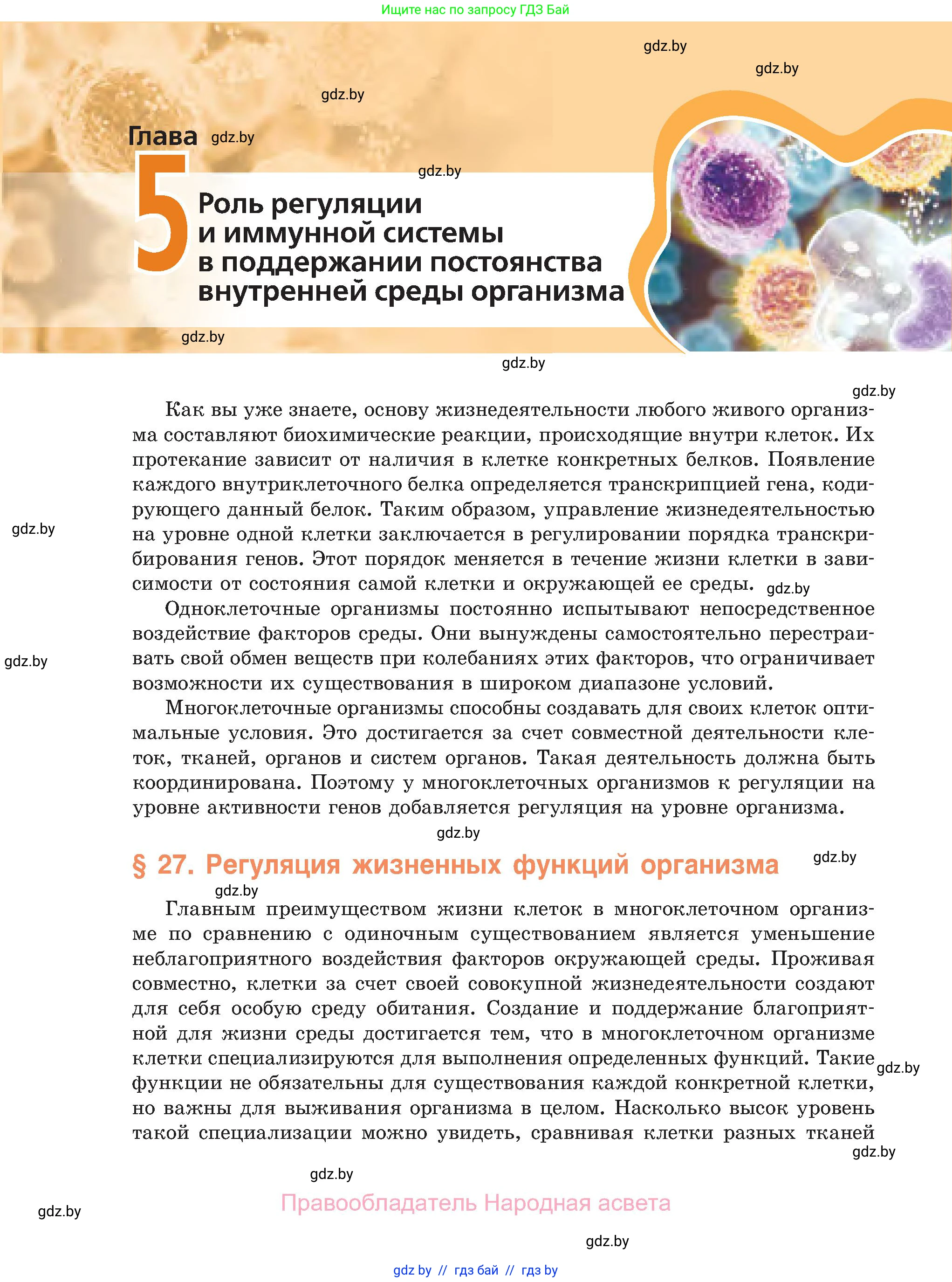 Биология, 11 класс Учебник, авторы: Дашков Максим Леонидович, Песнякевич Александр Георгиевич, Головач Алексей Михайлович, издательство Народная асвета, Минск, 2021, голубого цвета, страница 142