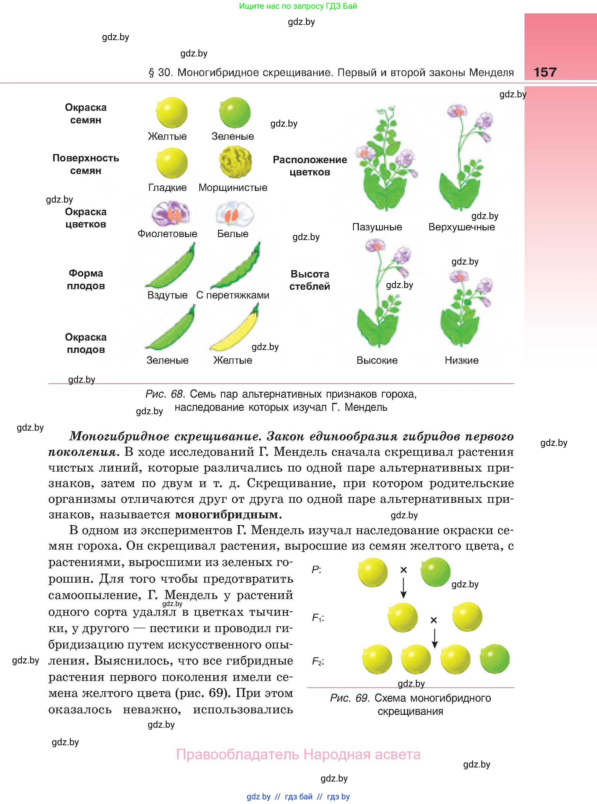 Биология, 11 класс Учебник, авторы: Дашков Максим Леонидович, Песнякевич Александр Георгиевич, Головач Алексей Михайлович, издательство Народная асвета, Минск, 2021, голубого цвета, страница 157