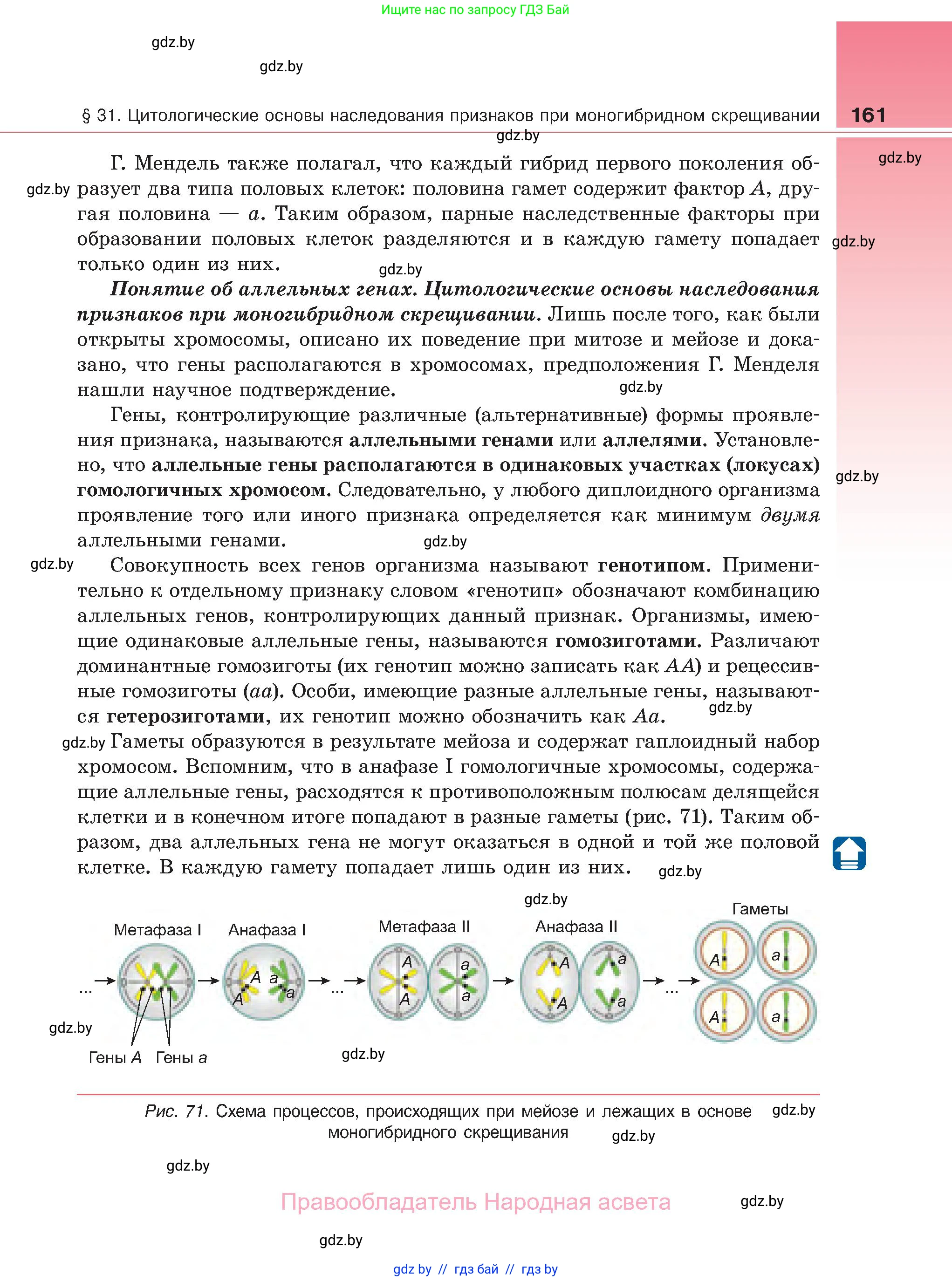 Биология, 11 класс Учебник, авторы: Дашков Максим Леонидович, Песнякевич Александр Георгиевич, Головач Алексей Михайлович, издательство Народная асвета, Минск, 2021, голубого цвета, страница 161