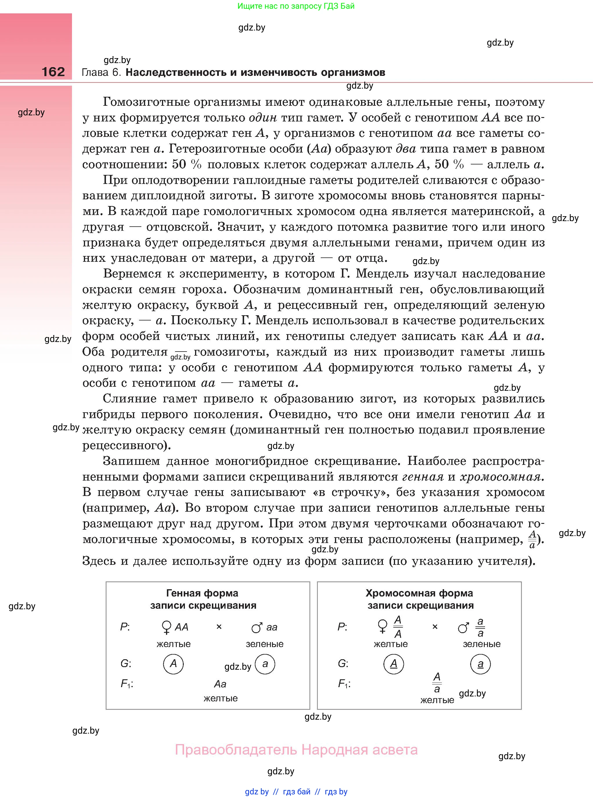 Биология, 11 класс Учебник, авторы: Дашков Максим Леонидович, Песнякевич Александр Георгиевич, Головач Алексей Михайлович, издательство Народная асвета, Минск, 2021, голубого цвета, страница 162
