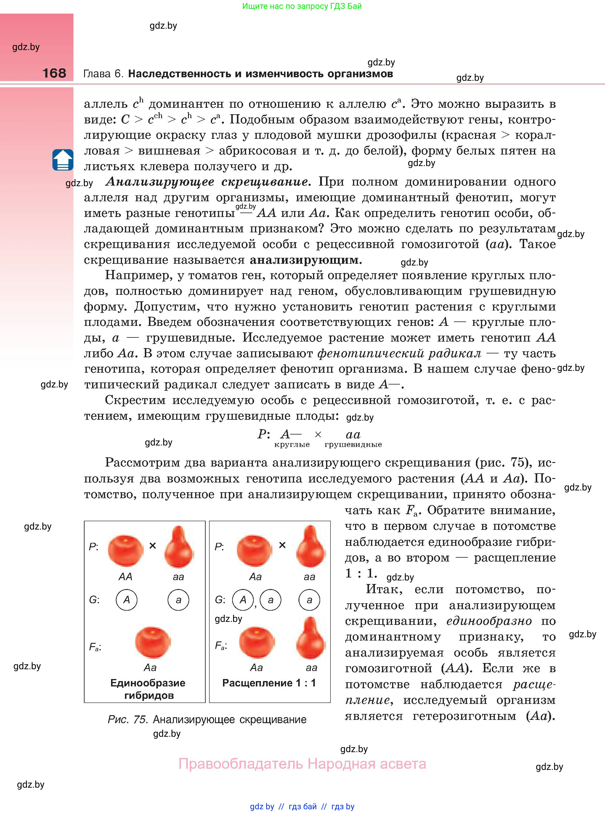 Биология, 11 класс Учебник, авторы: Дашков Максим Леонидович, Песнякевич Александр Георгиевич, Головач Алексей Михайлович, издательство Народная асвета, Минск, 2021, голубого цвета, страница 168