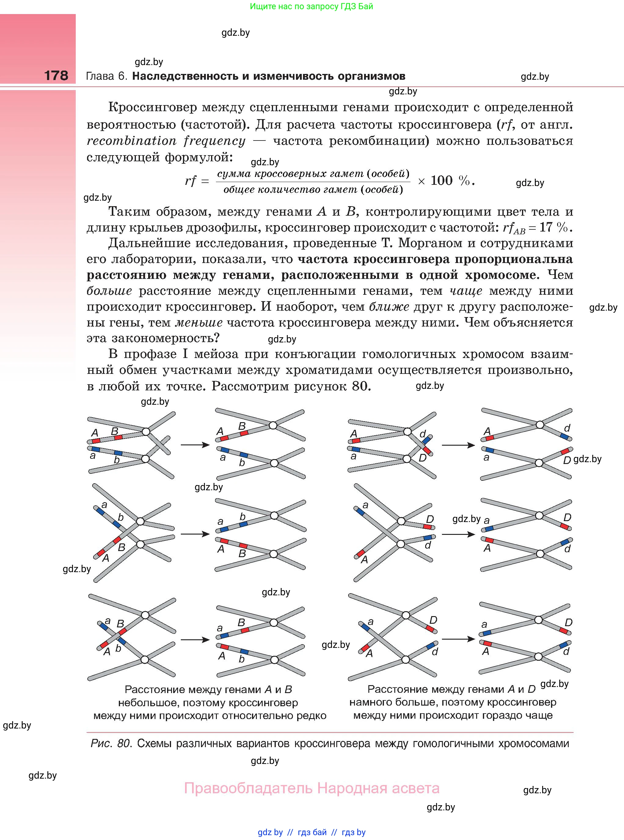 Биология, 11 класс Учебник, авторы: Дашков Максим Леонидович, Песнякевич Александр Георгиевич, Головач Алексей Михайлович, издательство Народная асвета, Минск, 2021, голубого цвета, страница 178