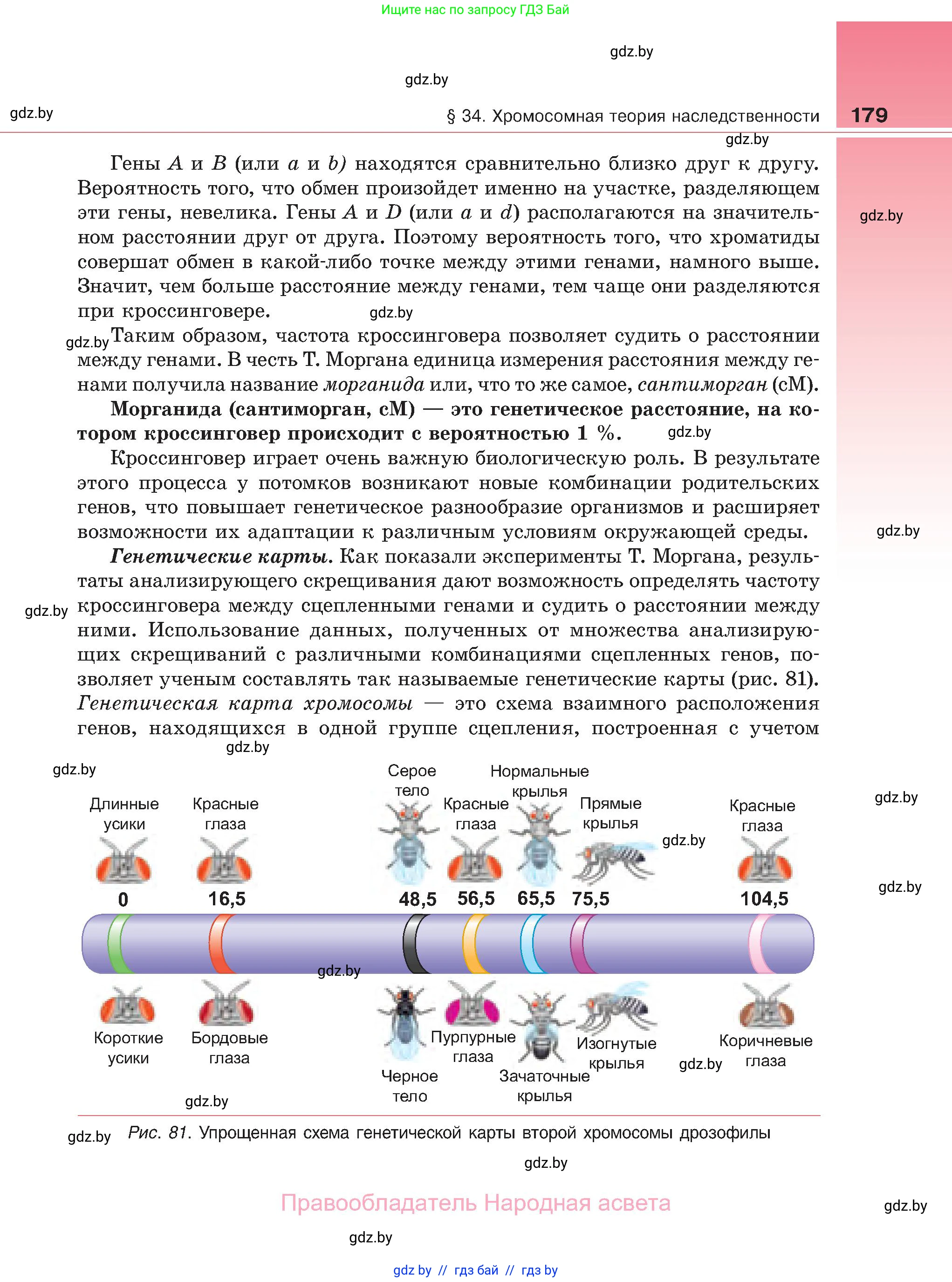 Биология, 11 класс Учебник, авторы: Дашков Максим Леонидович, Песнякевич Александр Георгиевич, Головач Алексей Михайлович, издательство Народная асвета, Минск, 2021, голубого цвета, страница 179