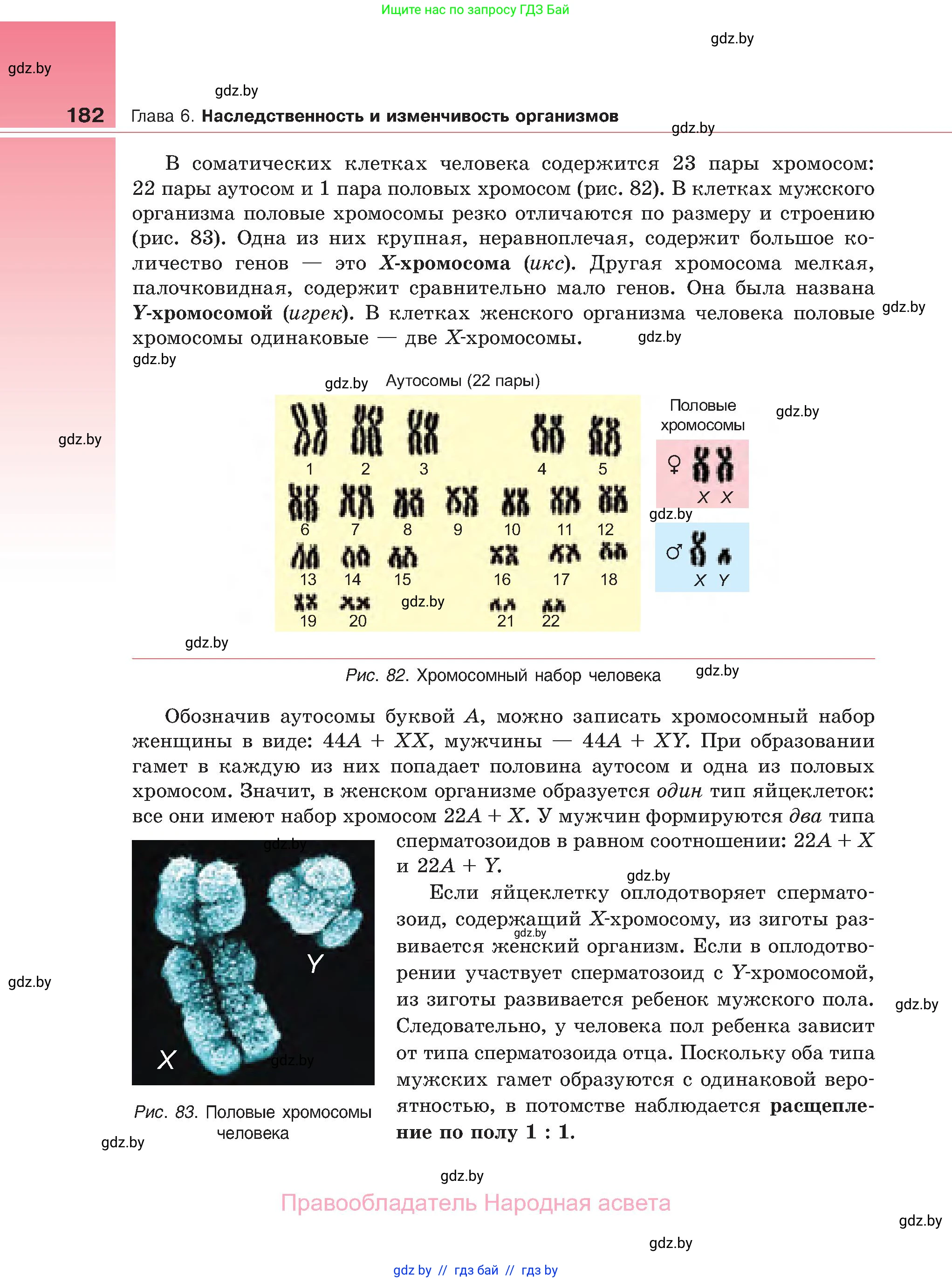 Биология, 11 класс Учебник, авторы: Дашков Максим Леонидович, Песнякевич Александр Георгиевич, Головач Алексей Михайлович, издательство Народная асвета, Минск, 2021, голубого цвета, страница 182