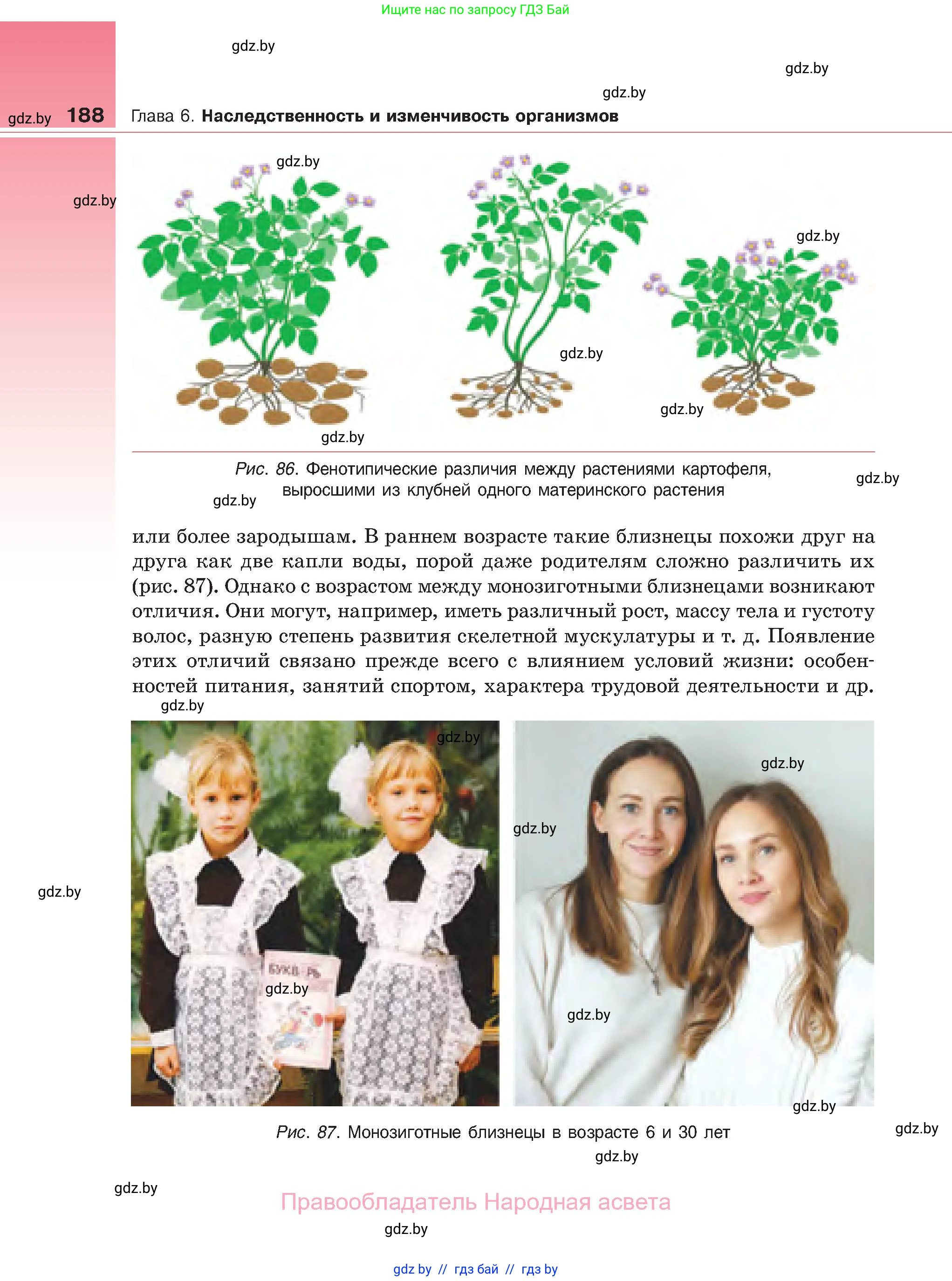 Биология, 11 класс Учебник, авторы: Дашков Максим Леонидович, Песнякевич Александр Георгиевич, Головач Алексей Михайлович, издательство Народная асвета, Минск, 2021, голубого цвета, страница 188