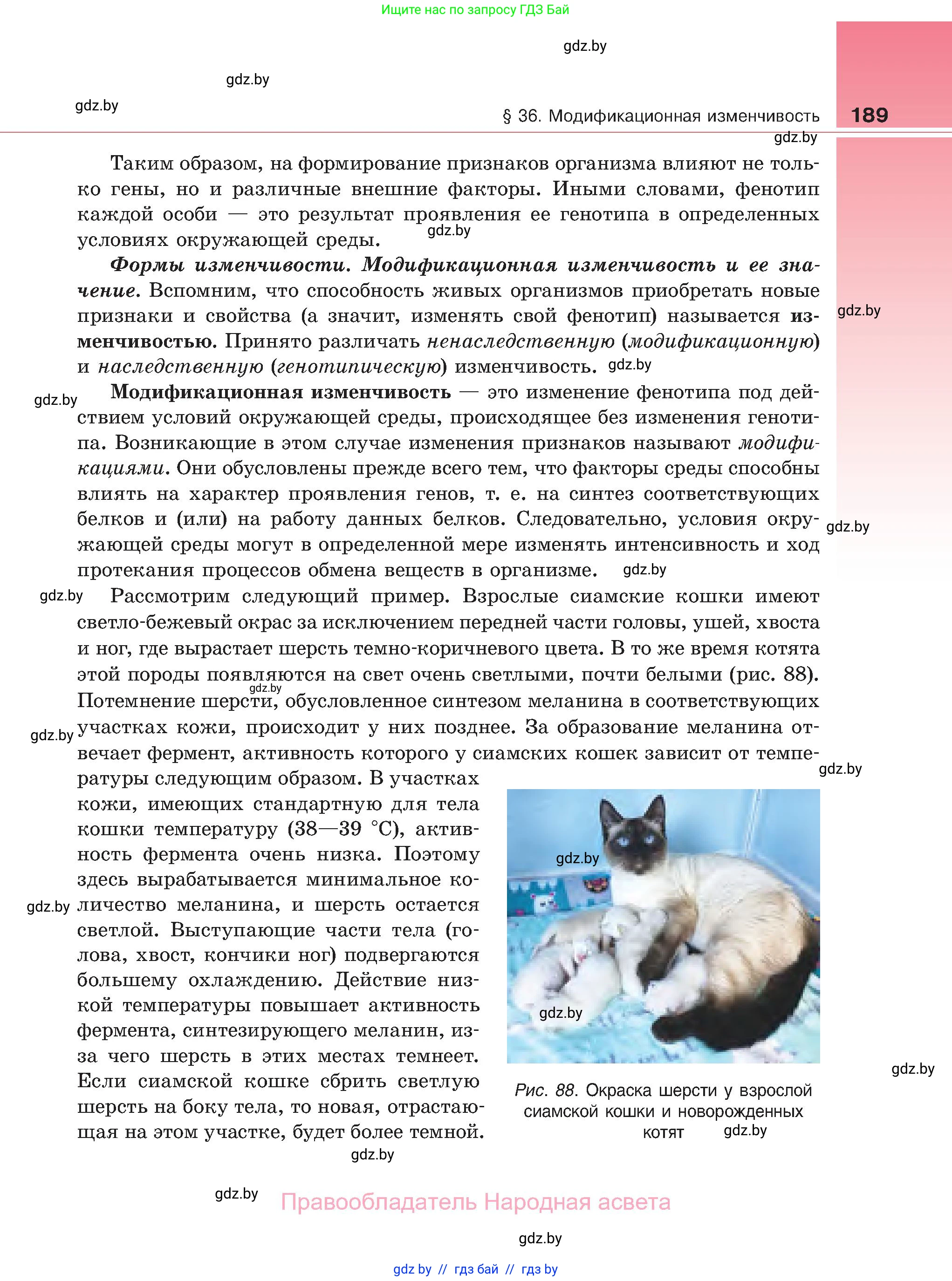 Биология, 11 класс Учебник, авторы: Дашков Максим Леонидович, Песнякевич Александр Георгиевич, Головач Алексей Михайлович, издательство Народная асвета, Минск, 2021, голубого цвета, страница 189
