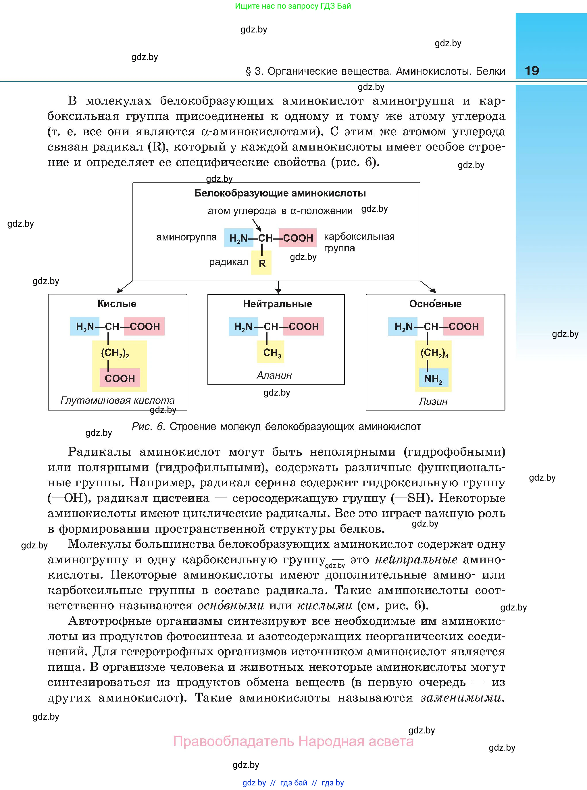 Биология, 11 класс Учебник, авторы: Дашков Максим Леонидович, Песнякевич Александр Георгиевич, Головач Алексей Михайлович, издательство Народная асвета, Минск, 2021, голубого цвета, страница 19