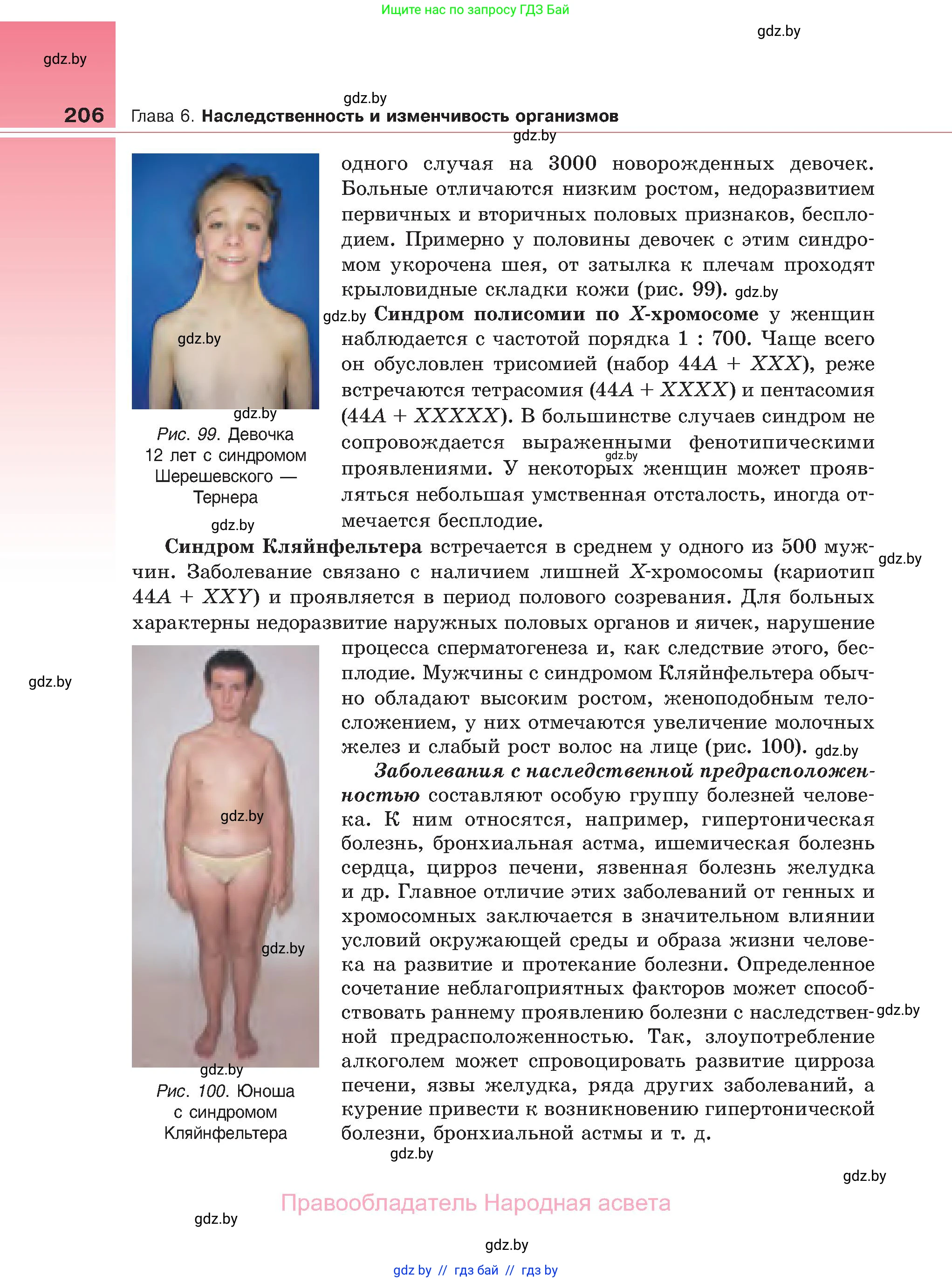 Биология, 11 класс Учебник, авторы: Дашков Максим Леонидович, Песнякевич Александр Георгиевич, Головач Алексей Михайлович, издательство Народная асвета, Минск, 2021, голубого цвета, страница 206