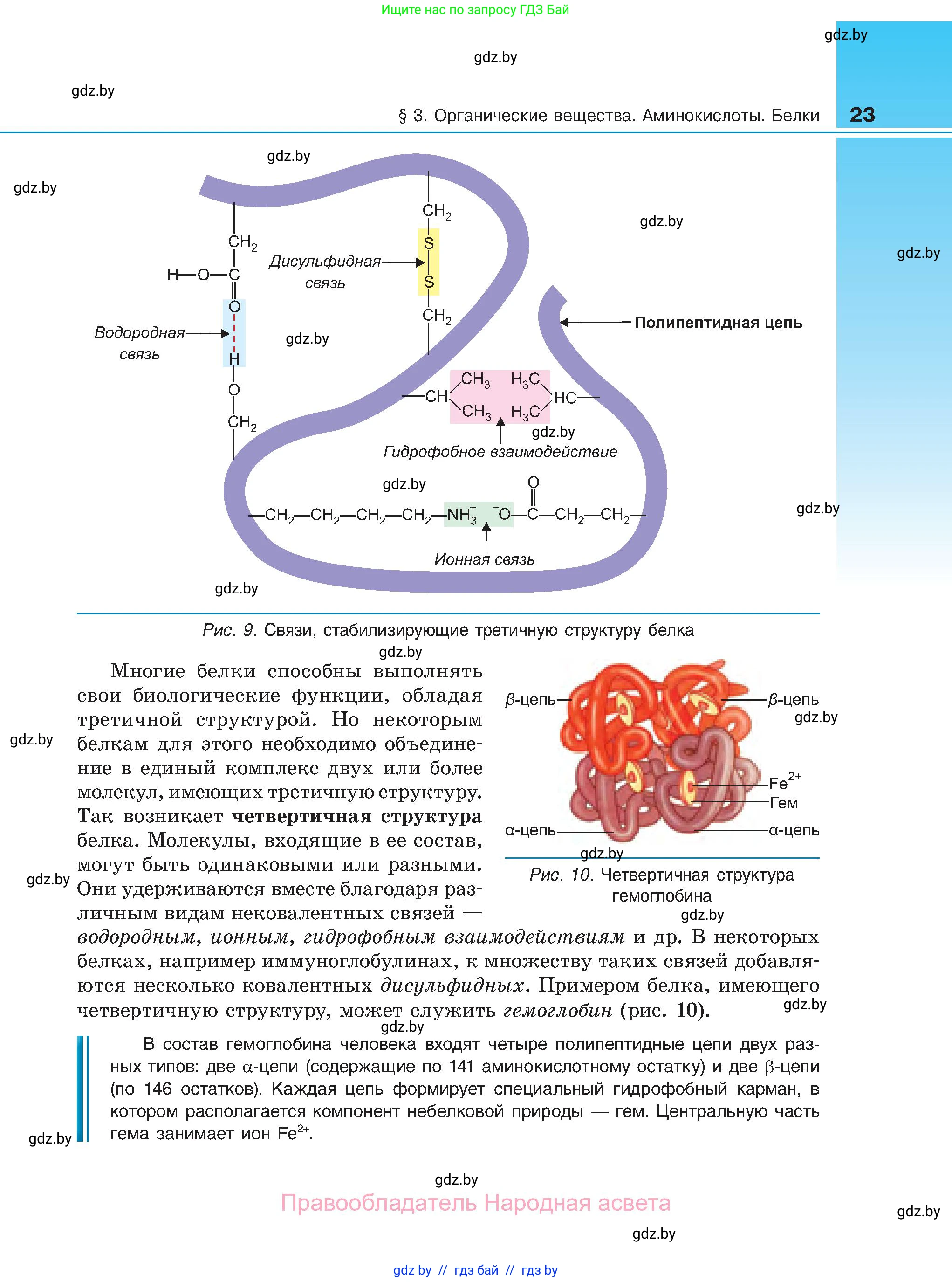 Биология, 11 класс Учебник, авторы: Дашков Максим Леонидович, Песнякевич Александр Георгиевич, Головач Алексей Михайлович, издательство Народная асвета, Минск, 2021, голубого цвета, страница 23