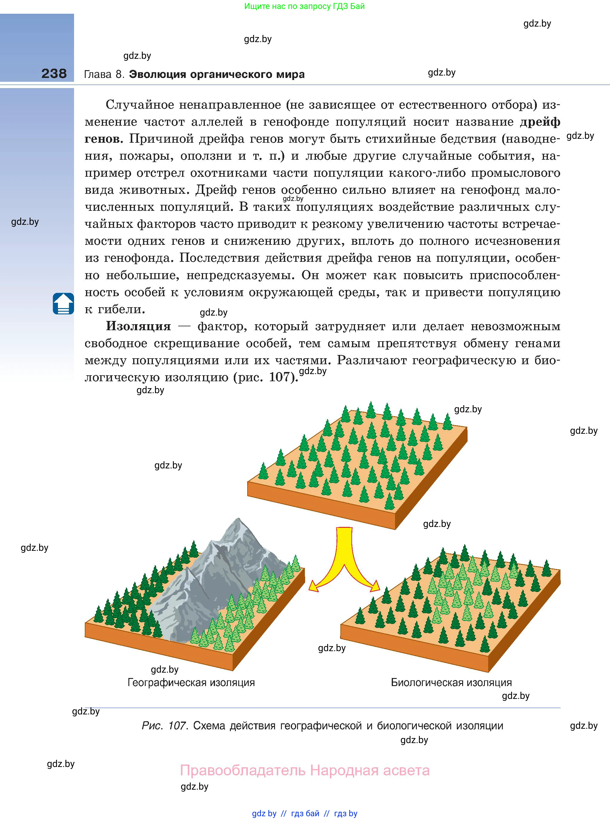 Биология, 11 класс Учебник, авторы: Дашков Максим Леонидович, Песнякевич Александр Георгиевич, Головач Алексей Михайлович, издательство Народная асвета, Минск, 2021, голубого цвета, страница 238