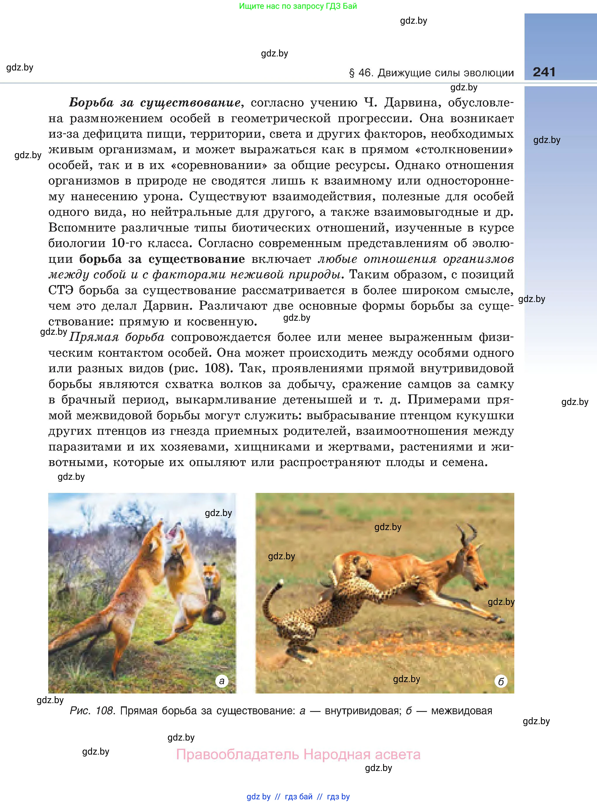 Биология, 11 класс Учебник, авторы: Дашков Максим Леонидович, Песнякевич Александр Георгиевич, Головач Алексей Михайлович, издательство Народная асвета, Минск, 2021, голубого цвета, страница 241