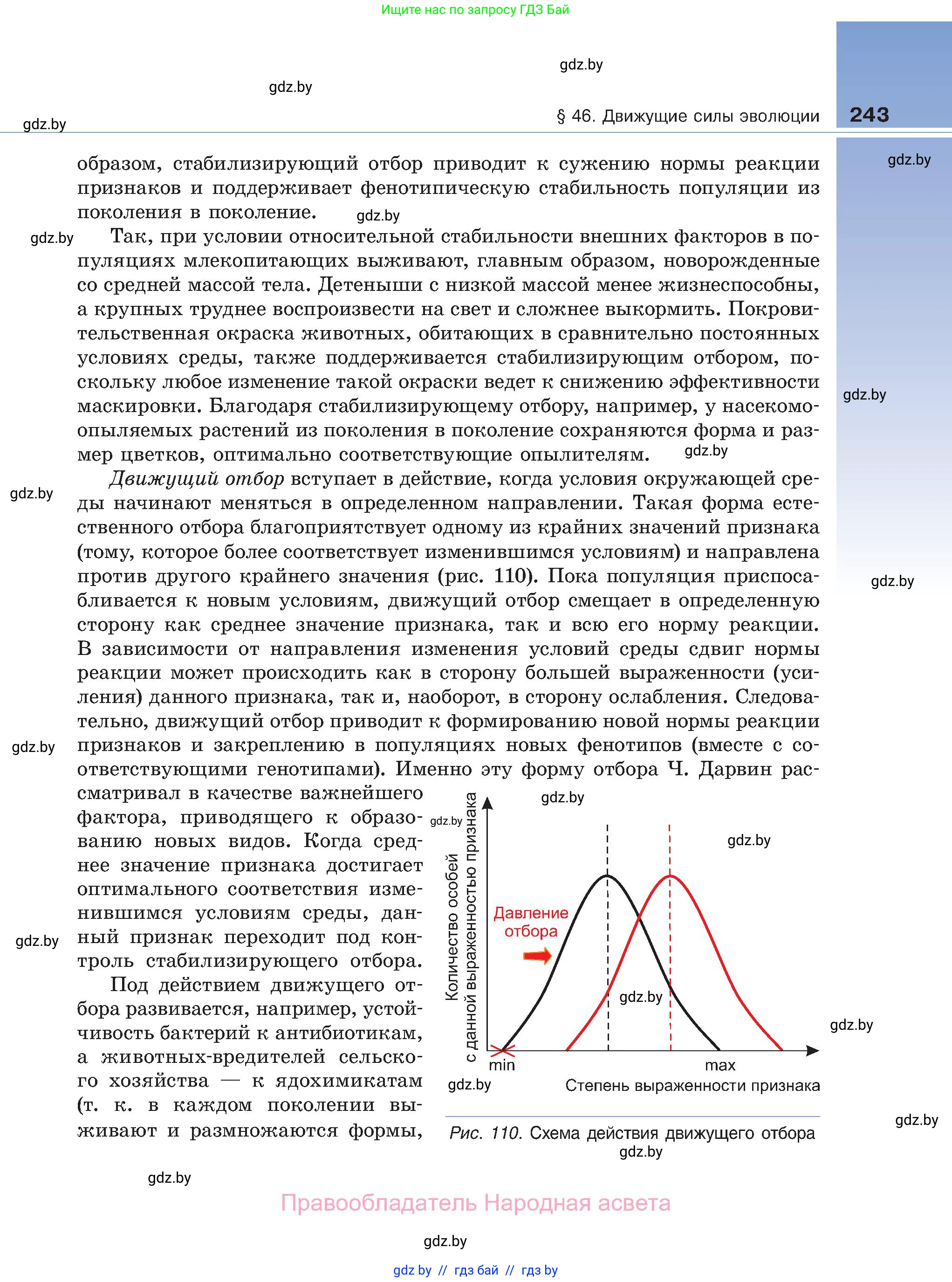 Биология, 11 класс Учебник, авторы: Дашков Максим Леонидович, Песнякевич Александр Георгиевич, Головач Алексей Михайлович, издательство Народная асвета, Минск, 2021, голубого цвета, страница 243