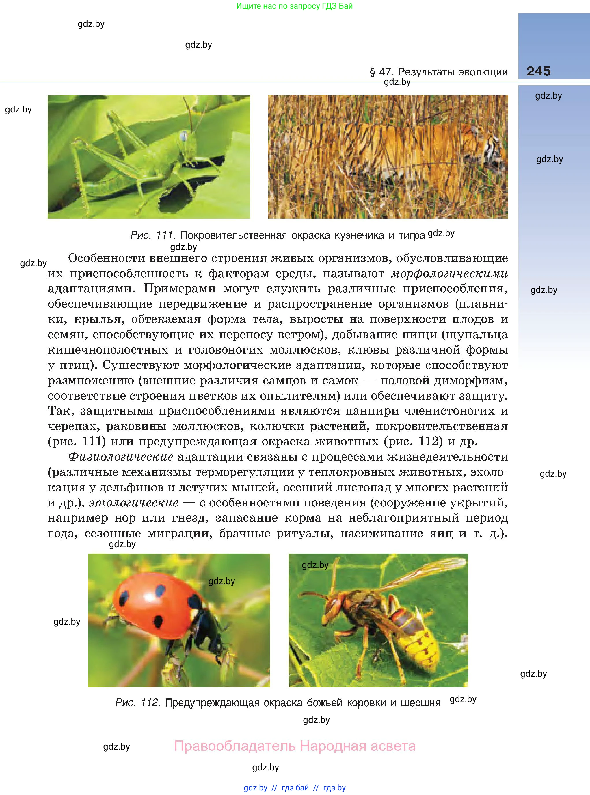 Биология, 11 класс Учебник, авторы: Дашков Максим Леонидович, Песнякевич Александр Георгиевич, Головач Алексей Михайлович, издательство Народная асвета, Минск, 2021, голубого цвета, страница 245