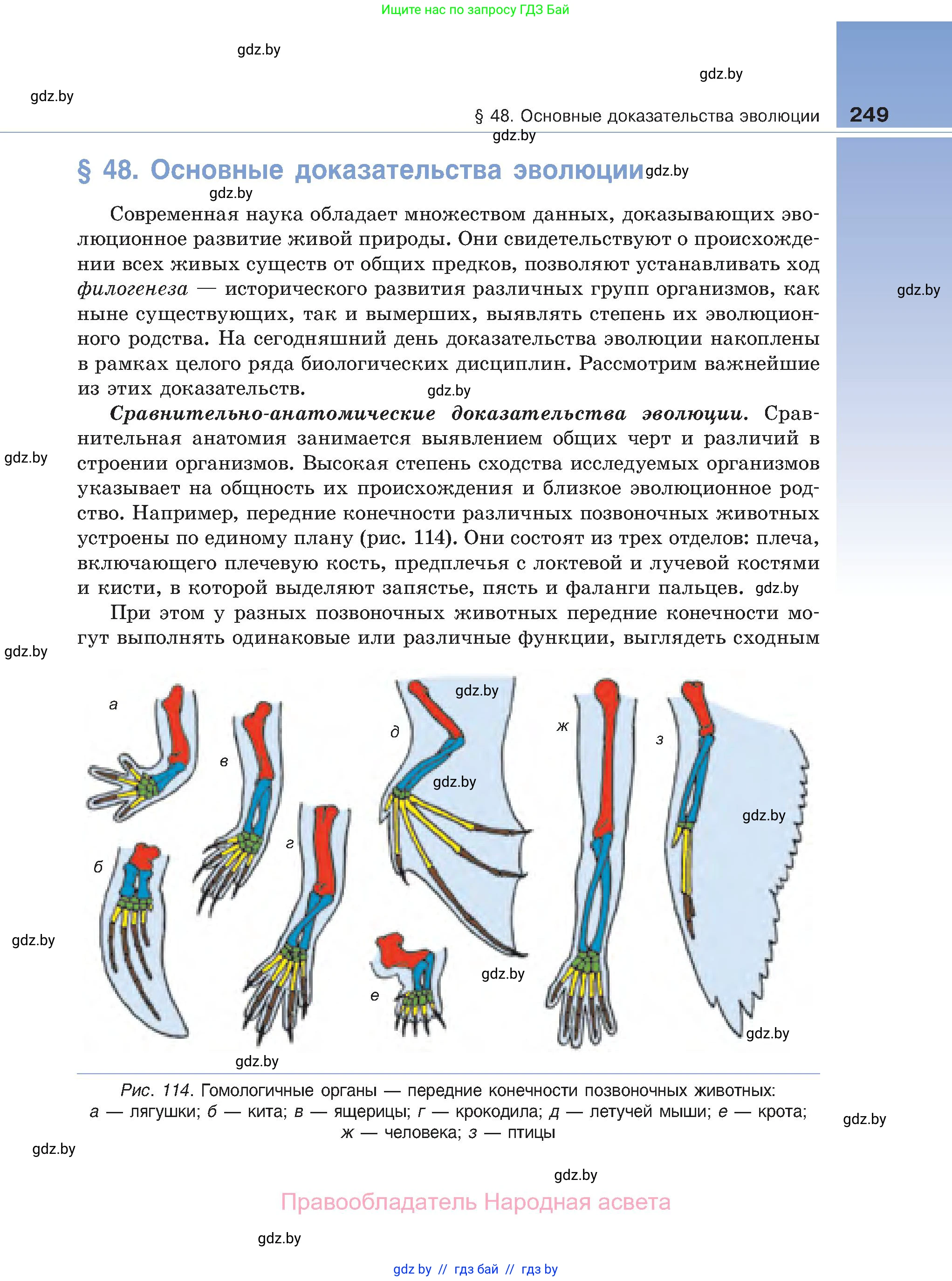 Биология, 11 класс Учебник, авторы: Дашков Максим Леонидович, Песнякевич Александр Георгиевич, Головач Алексей Михайлович, издательство Народная асвета, Минск, 2021, голубого цвета, страница 249