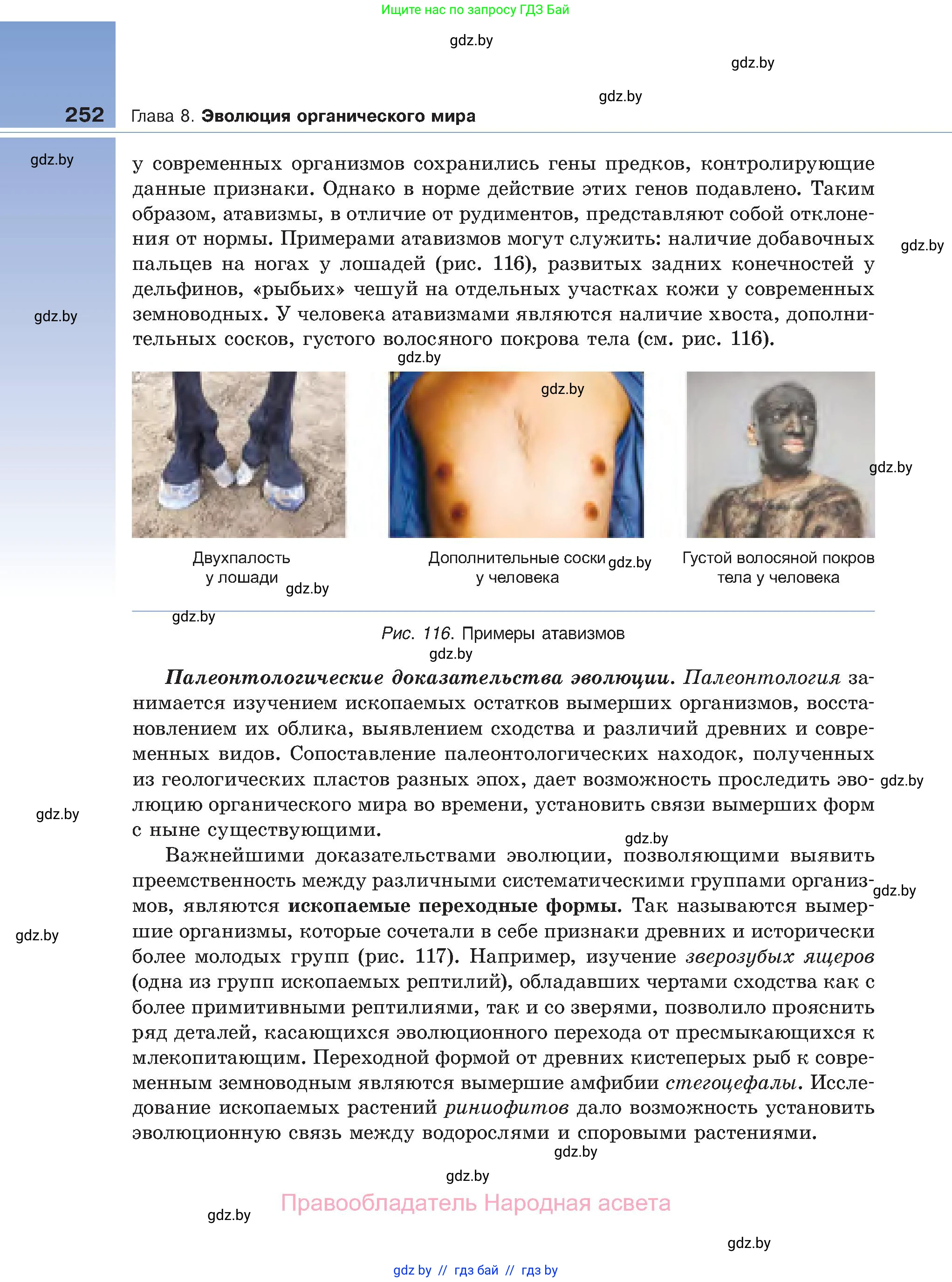Биология, 11 класс Учебник, авторы: Дашков Максим Леонидович, Песнякевич Александр Георгиевич, Головач Алексей Михайлович, издательство Народная асвета, Минск, 2021, голубого цвета, страница 252