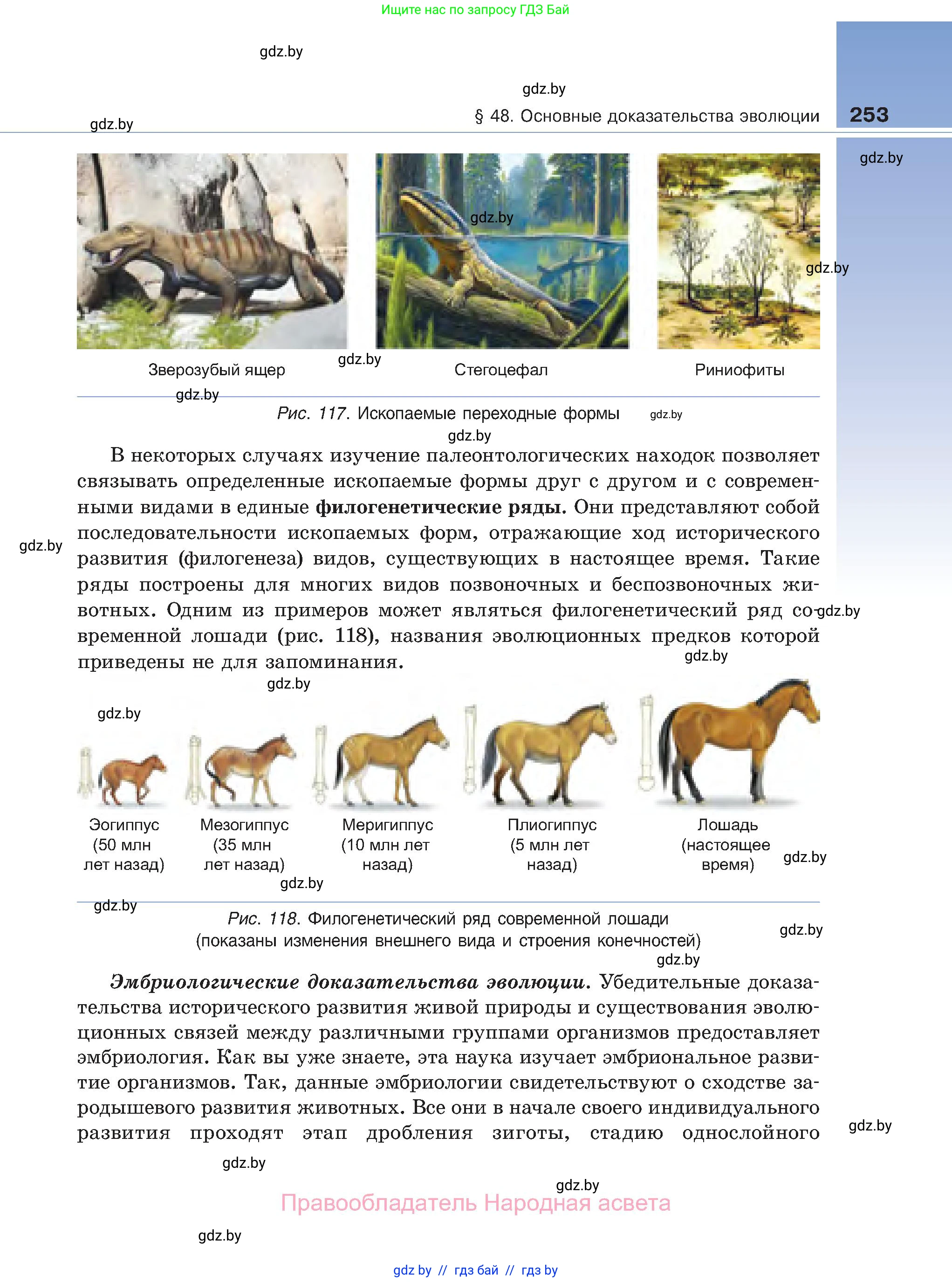 Биология, 11 класс Учебник, авторы: Дашков Максим Леонидович, Песнякевич Александр Георгиевич, Головач Алексей Михайлович, издательство Народная асвета, Минск, 2021, голубого цвета, страница 253