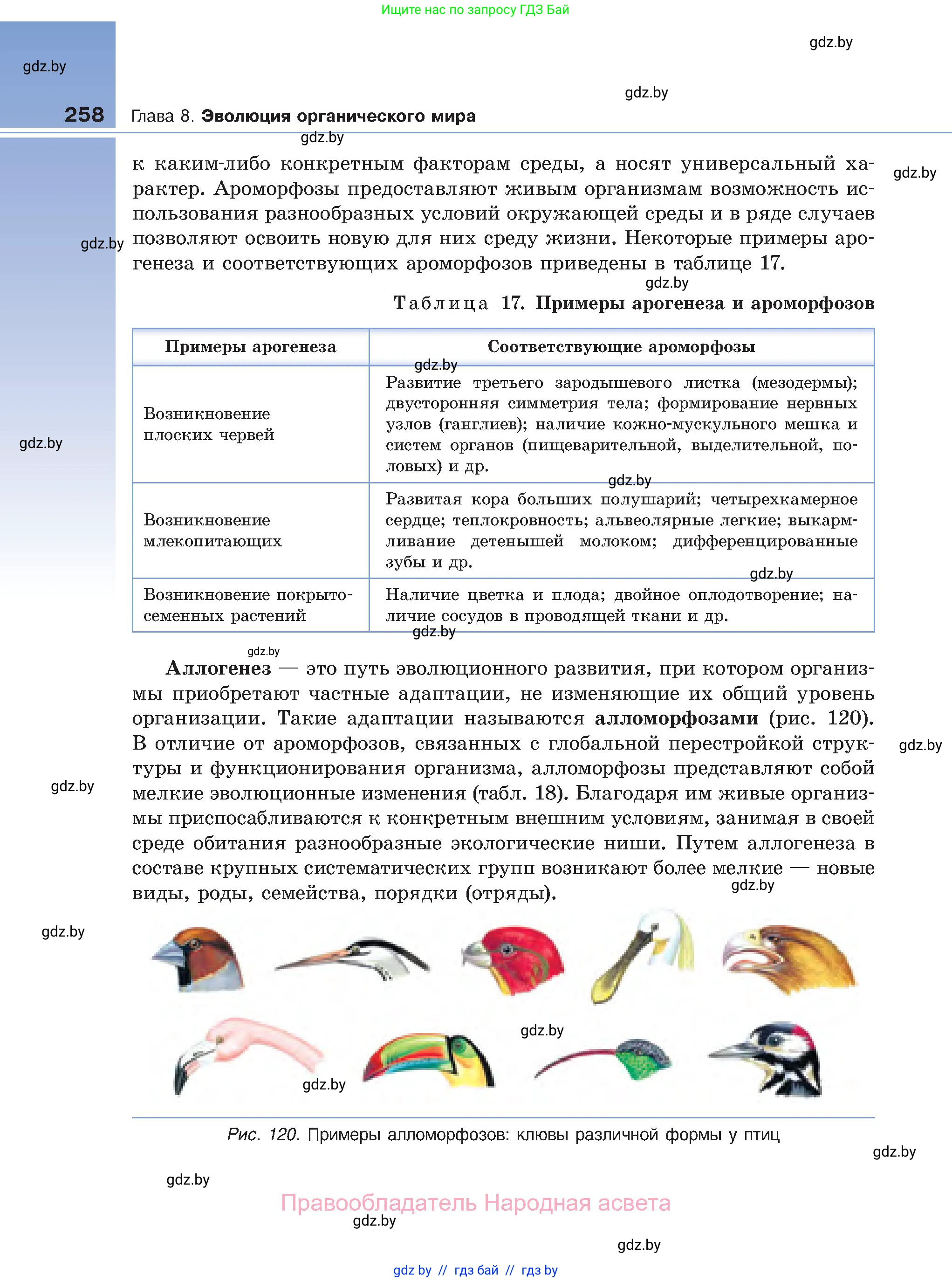 Биология, 11 класс Учебник, авторы: Дашков Максим Леонидович, Песнякевич Александр Георгиевич, Головач Алексей Михайлович, издательство Народная асвета, Минск, 2021, голубого цвета, страница 258