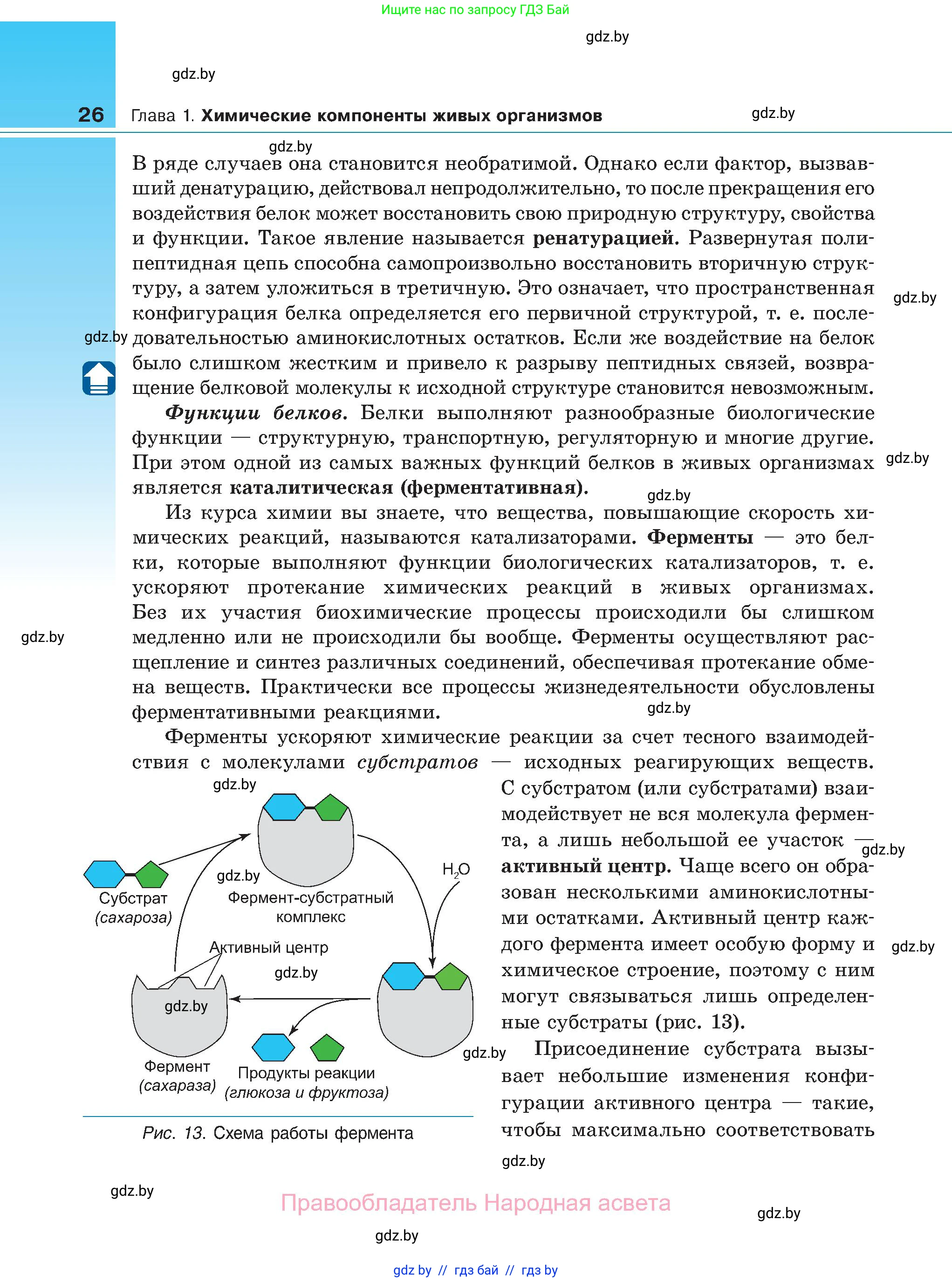 Биология, 11 класс Учебник, авторы: Дашков Максим Леонидович, Песнякевич Александр Георгиевич, Головач Алексей Михайлович, издательство Народная асвета, Минск, 2021, голубого цвета, страница 26